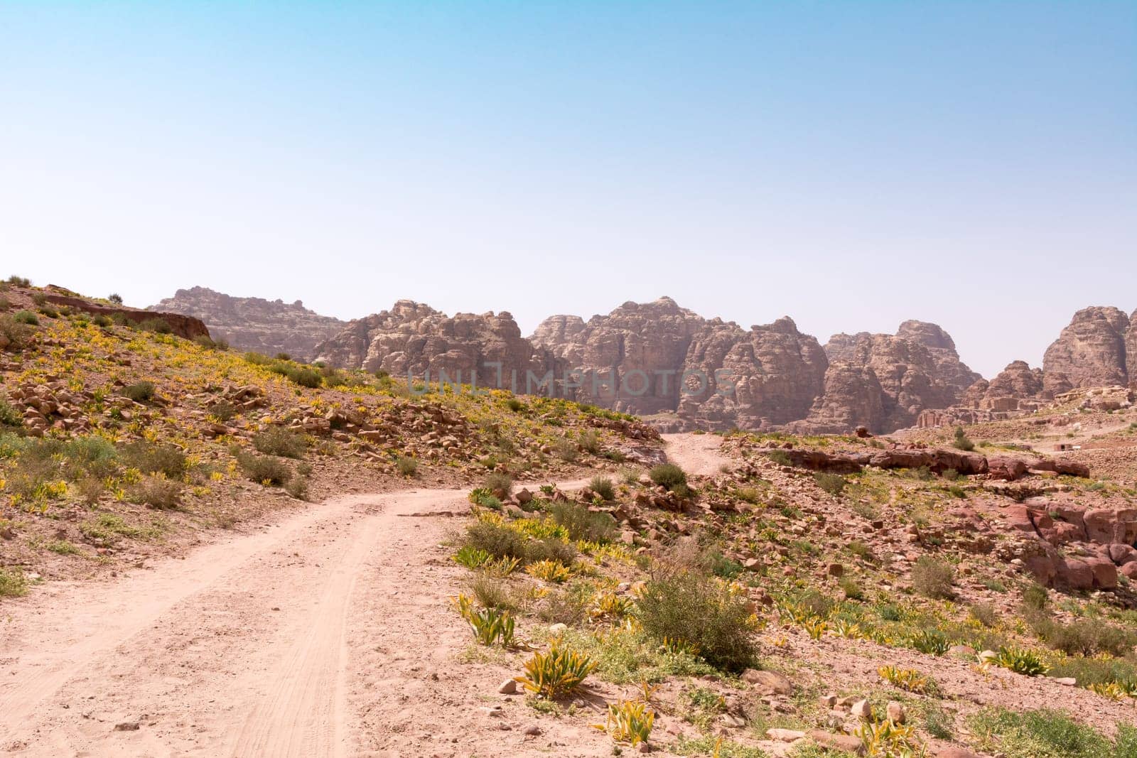 Panoramic view of the Rose City of Petra from the high tombs