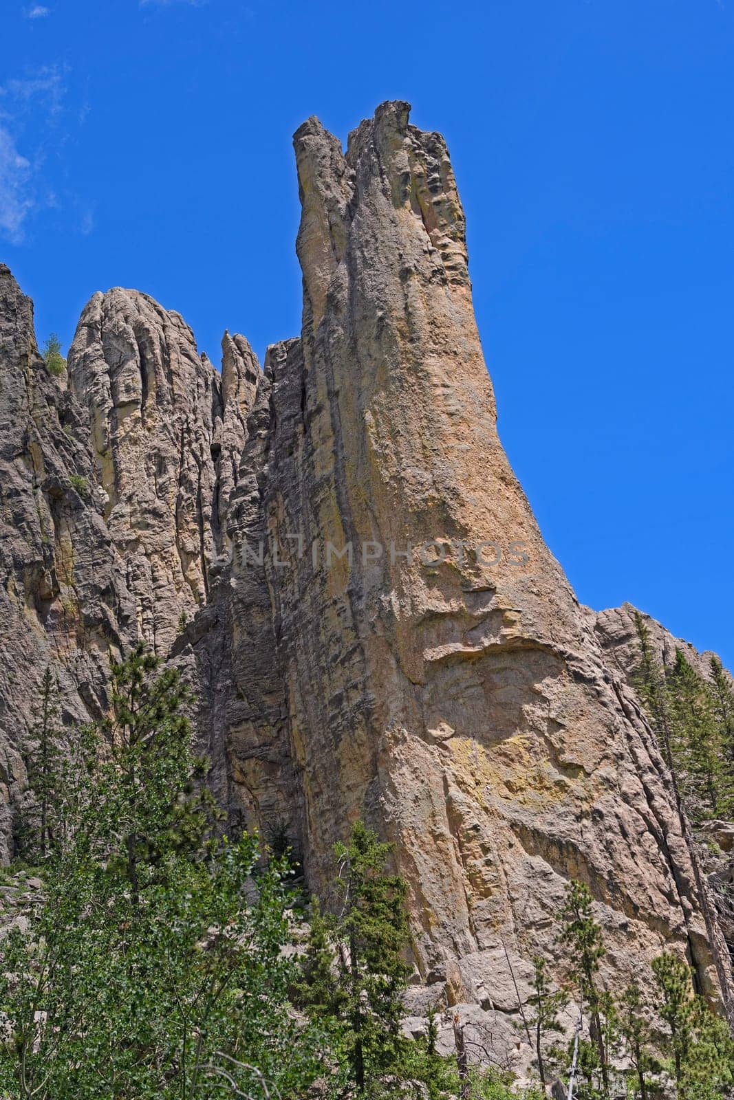 Dramatic Chimney Pinnacle in the Mountains of the Black Hills in Custer State Park in South Dakota