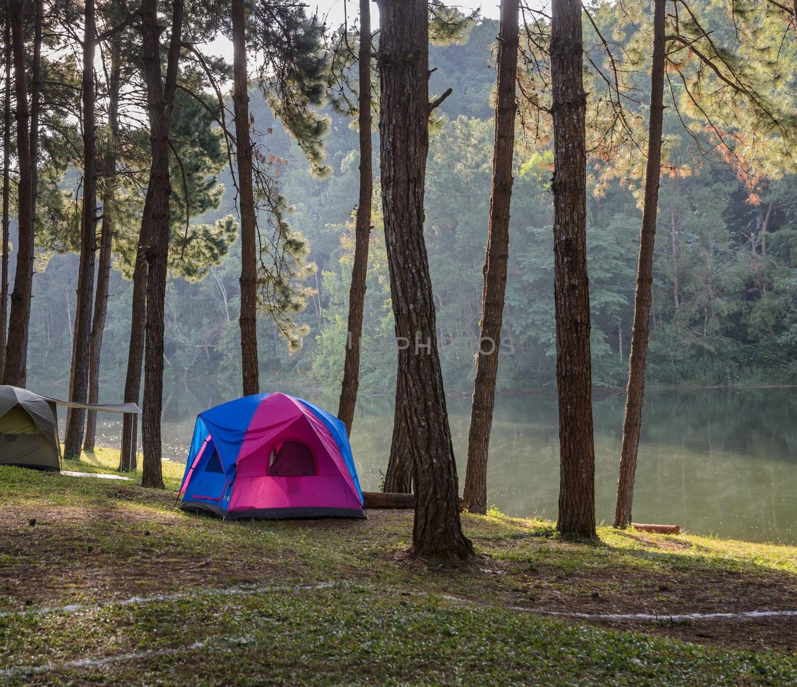 Camping tents in pine tree forest near lake at Pang Oung national park in Mae Hong Son, Thailand