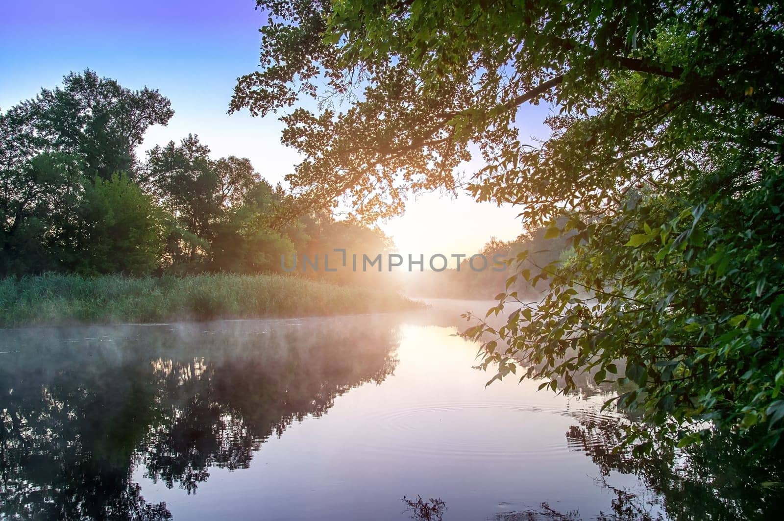 Morning fog on a calm river, Seversky Donets river, Ukraine