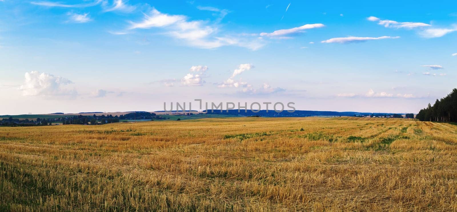 Autumn field of cut grass after harvest. Rural landscape. Panorama shot.