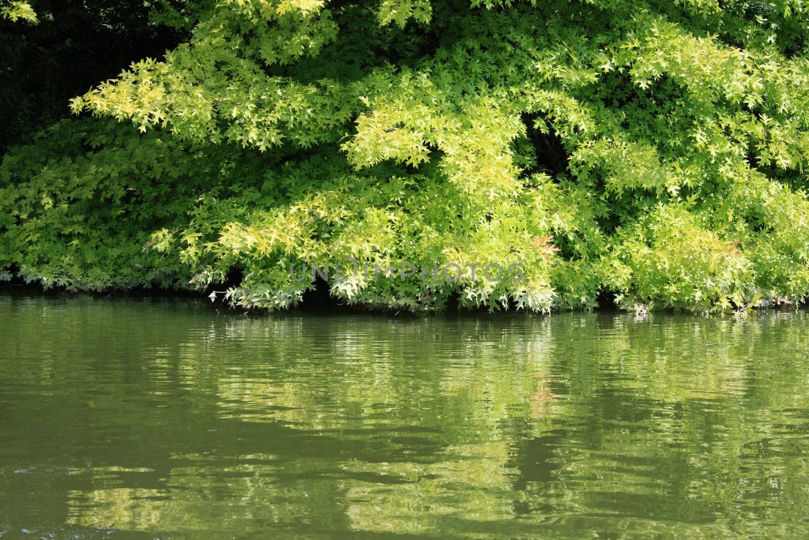 on the banks