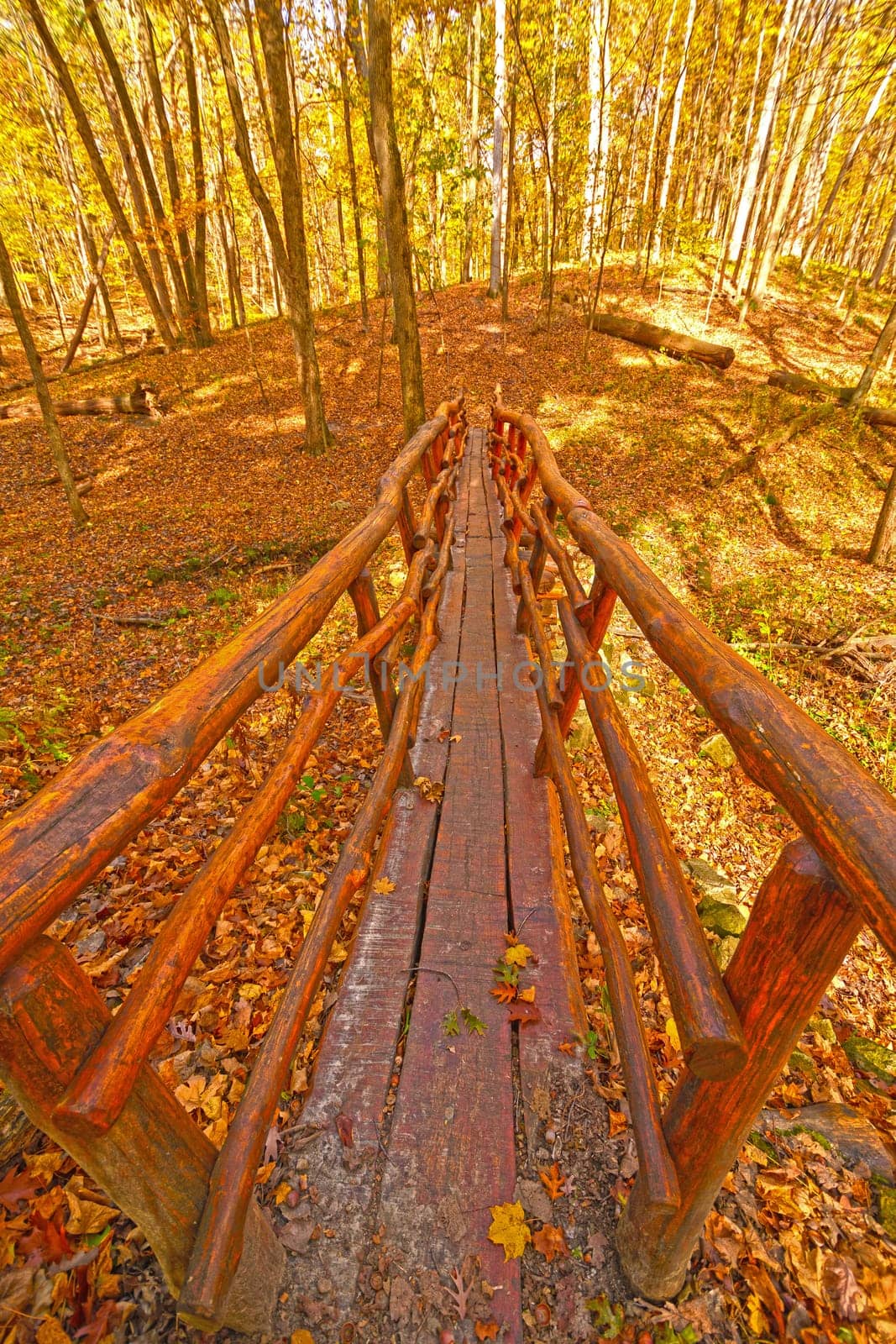 Hand Crafted Foot Bridge in the Fall Forest in Palisades- Kepler State Park in Iowa