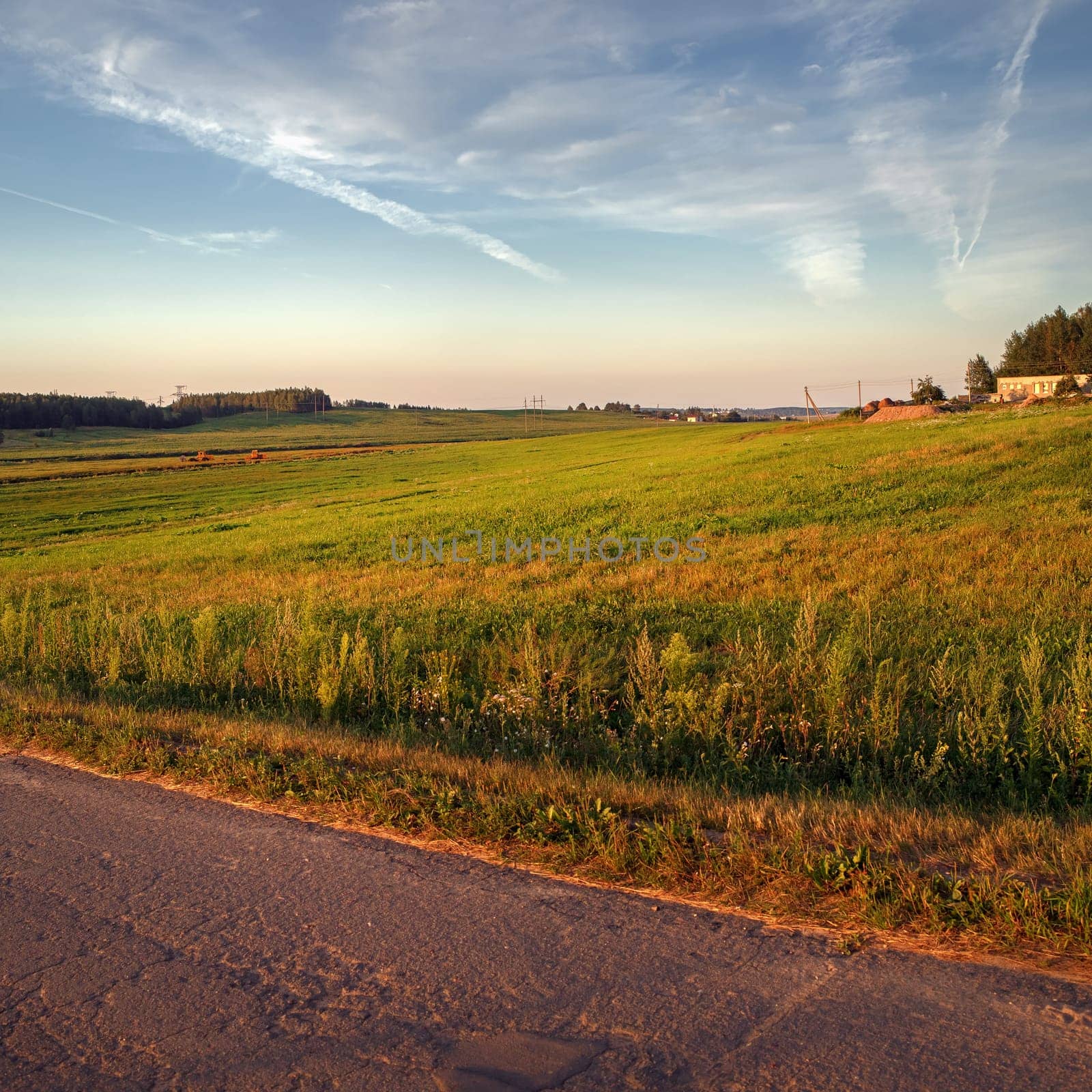 Pastoral rural landscape. Field of green grass and picturesque sky.