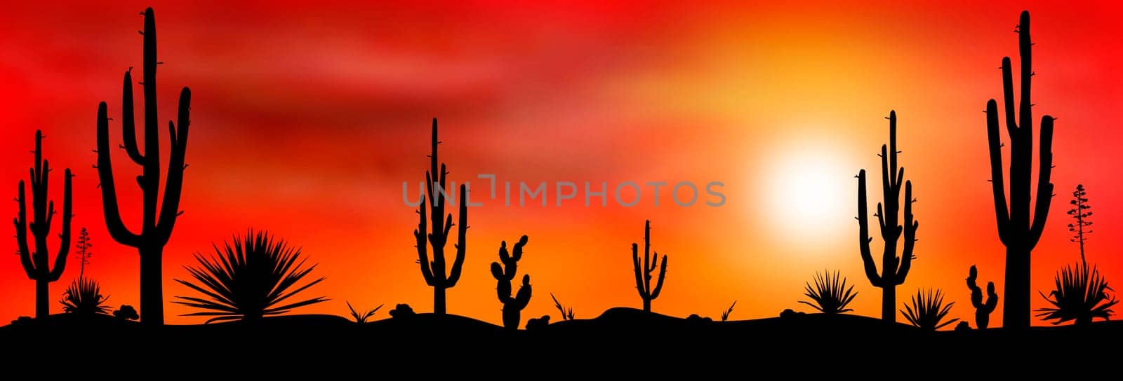 Sunset in the Mexican desert. Silhouettes of stones, cacti and plants. Desert landscape with cacti. The stony desert.