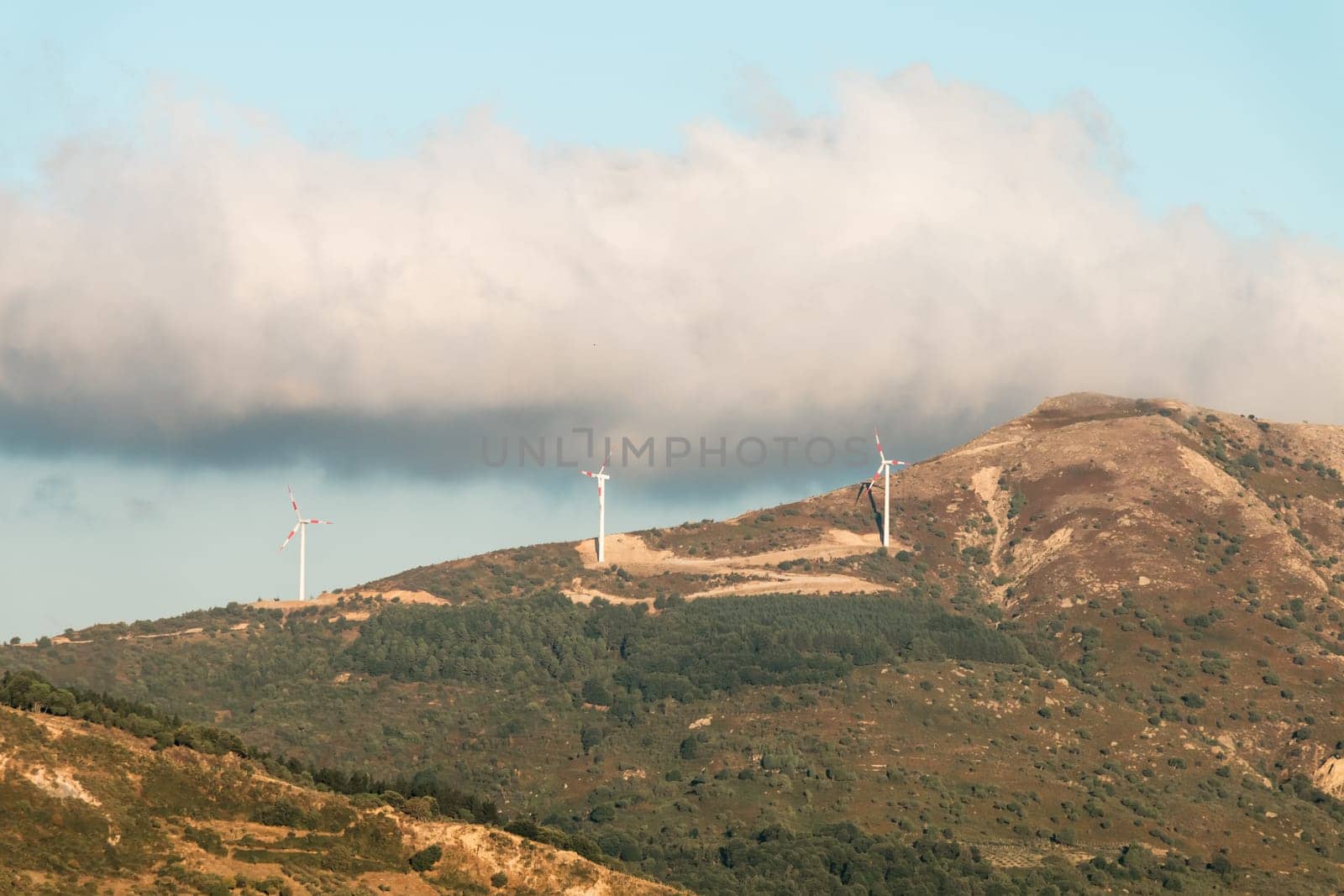 Wind generators in nebrodi mountain Sicily
