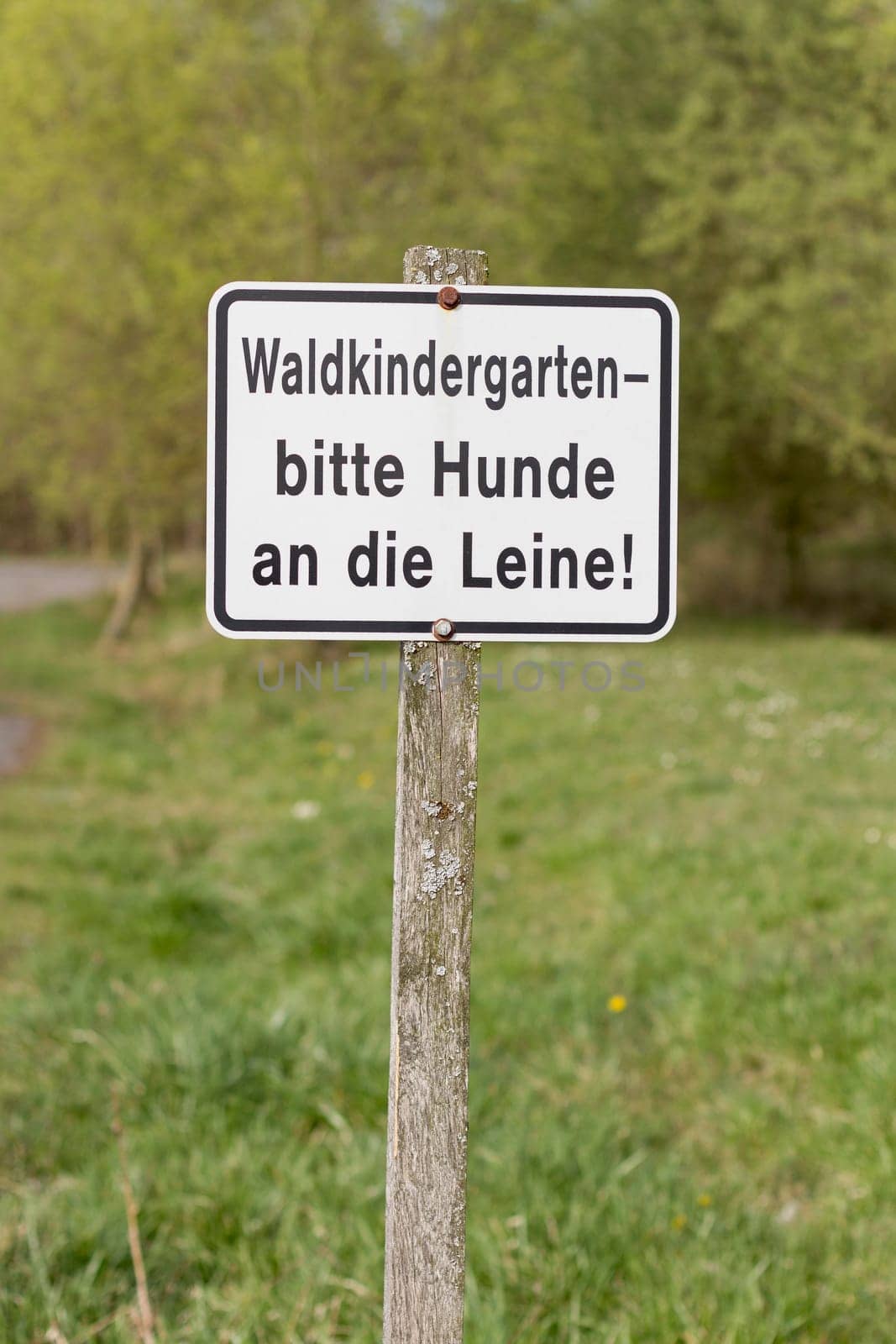 german sign on wooden pole. forest kindergarten,dogs please on the leash