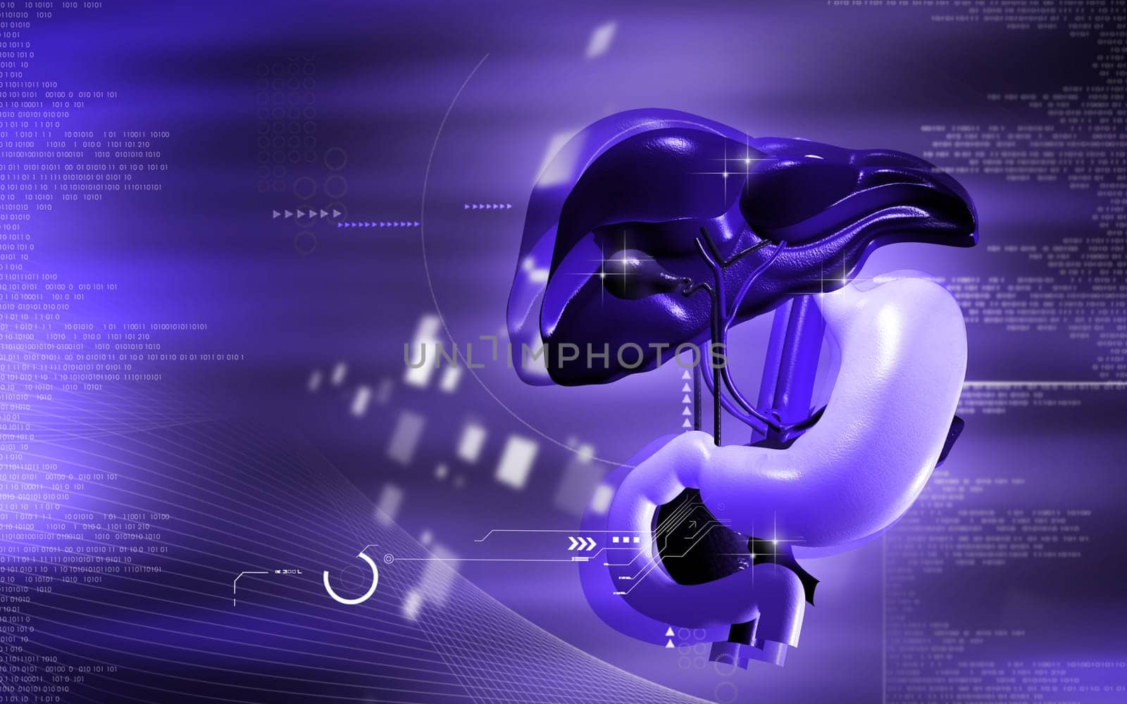 Digital illustration of Liver and stomach in colour background