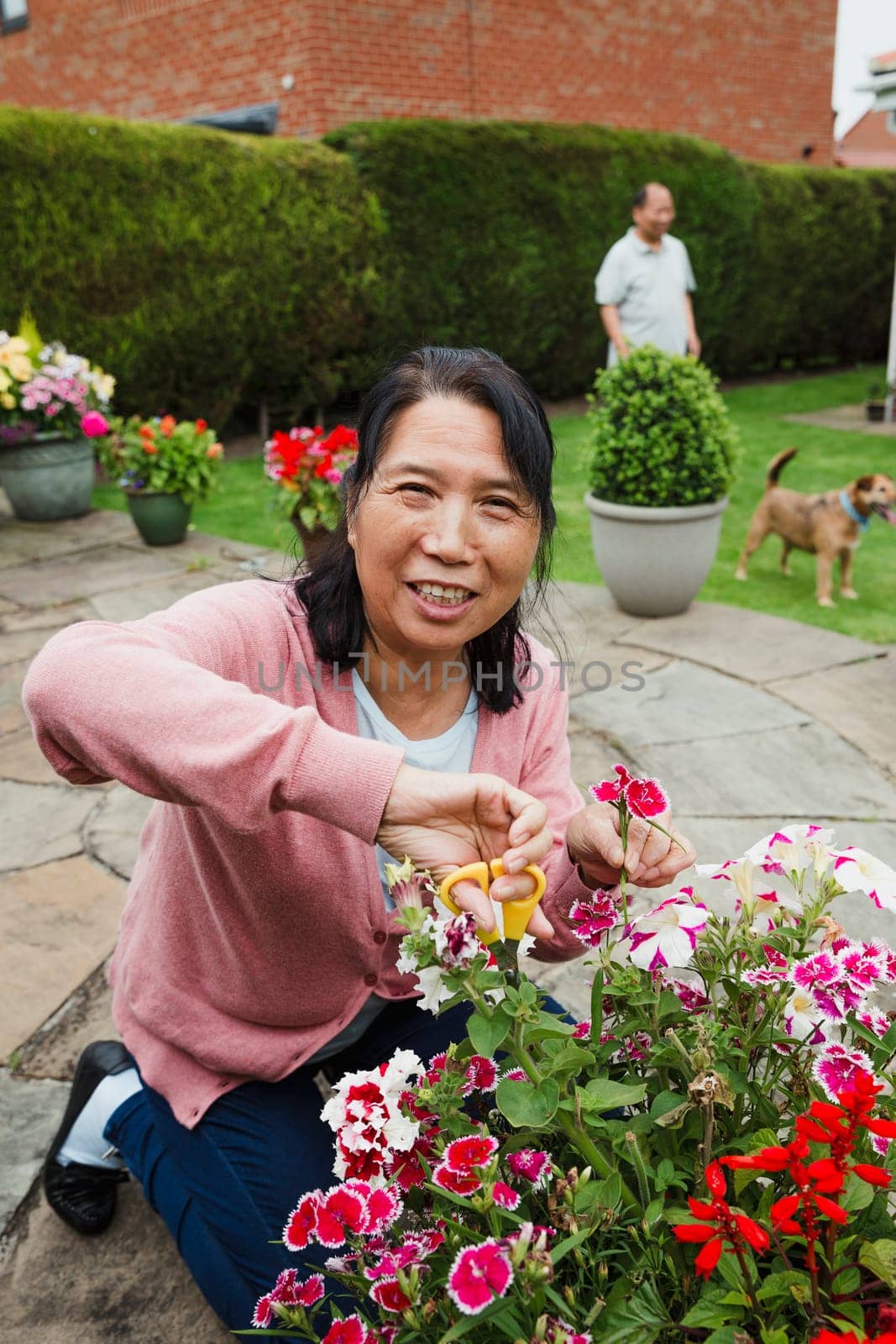 Senior woman is smiling for the camera while pruning the flowers in her garden.