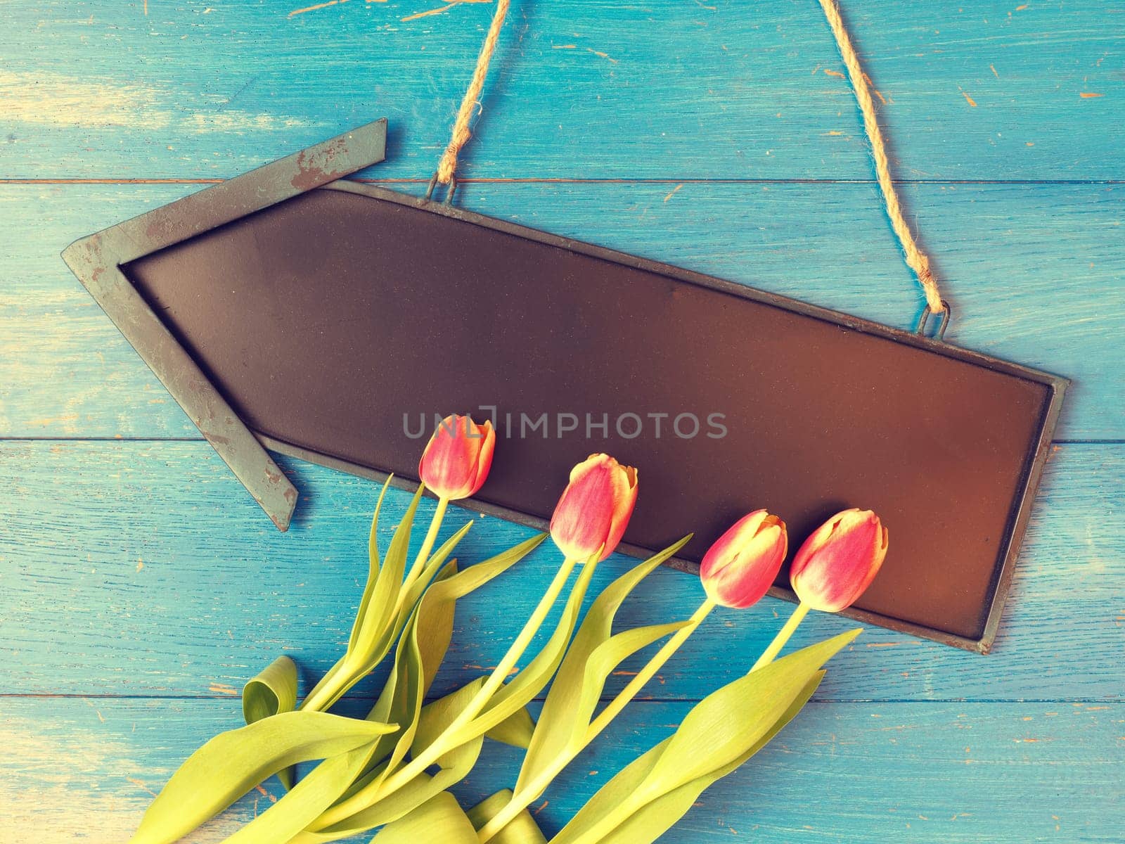 Colorful springtime background with beautiful tulips, seasonal background