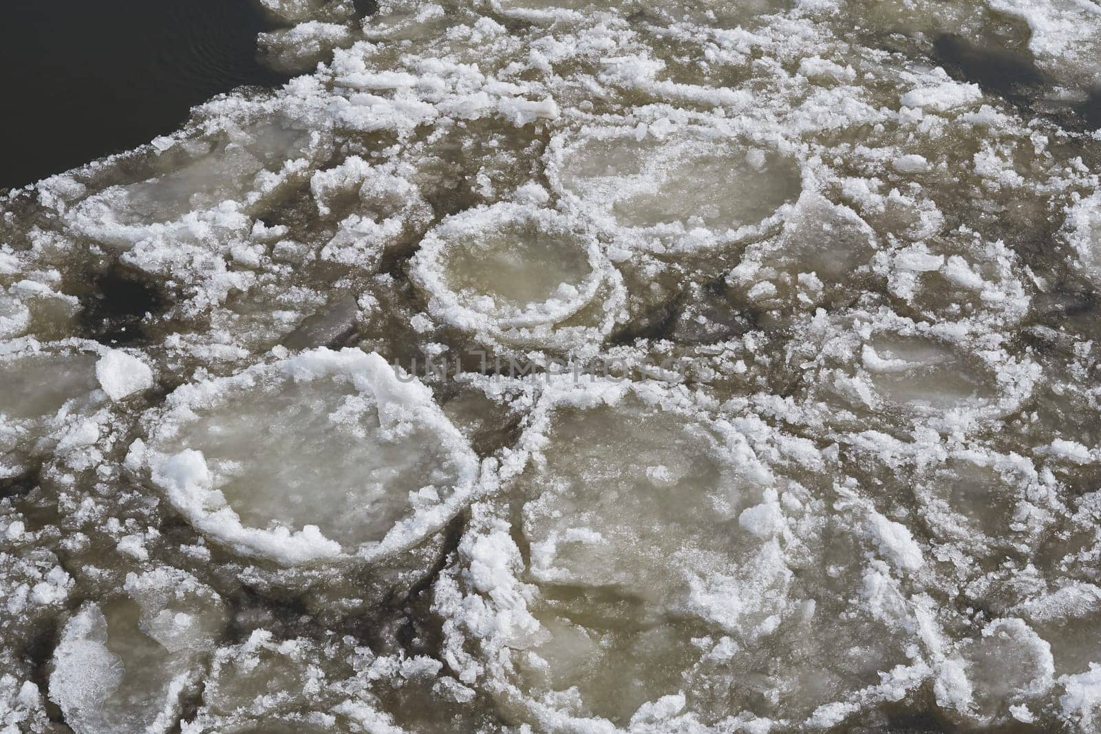 Ice floes on the river Elbe near Magdeburg on a cold winter day