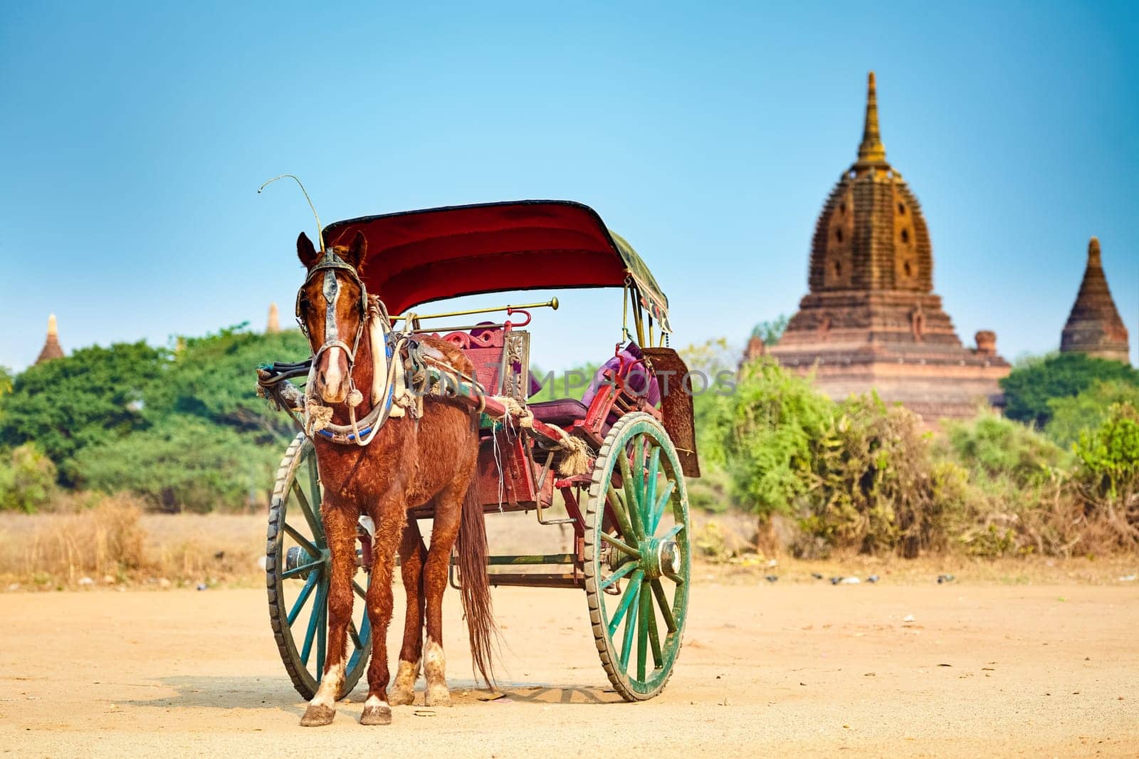 Horses cart waiting for tourist, ancient temple on background. Bagan,Myanmar