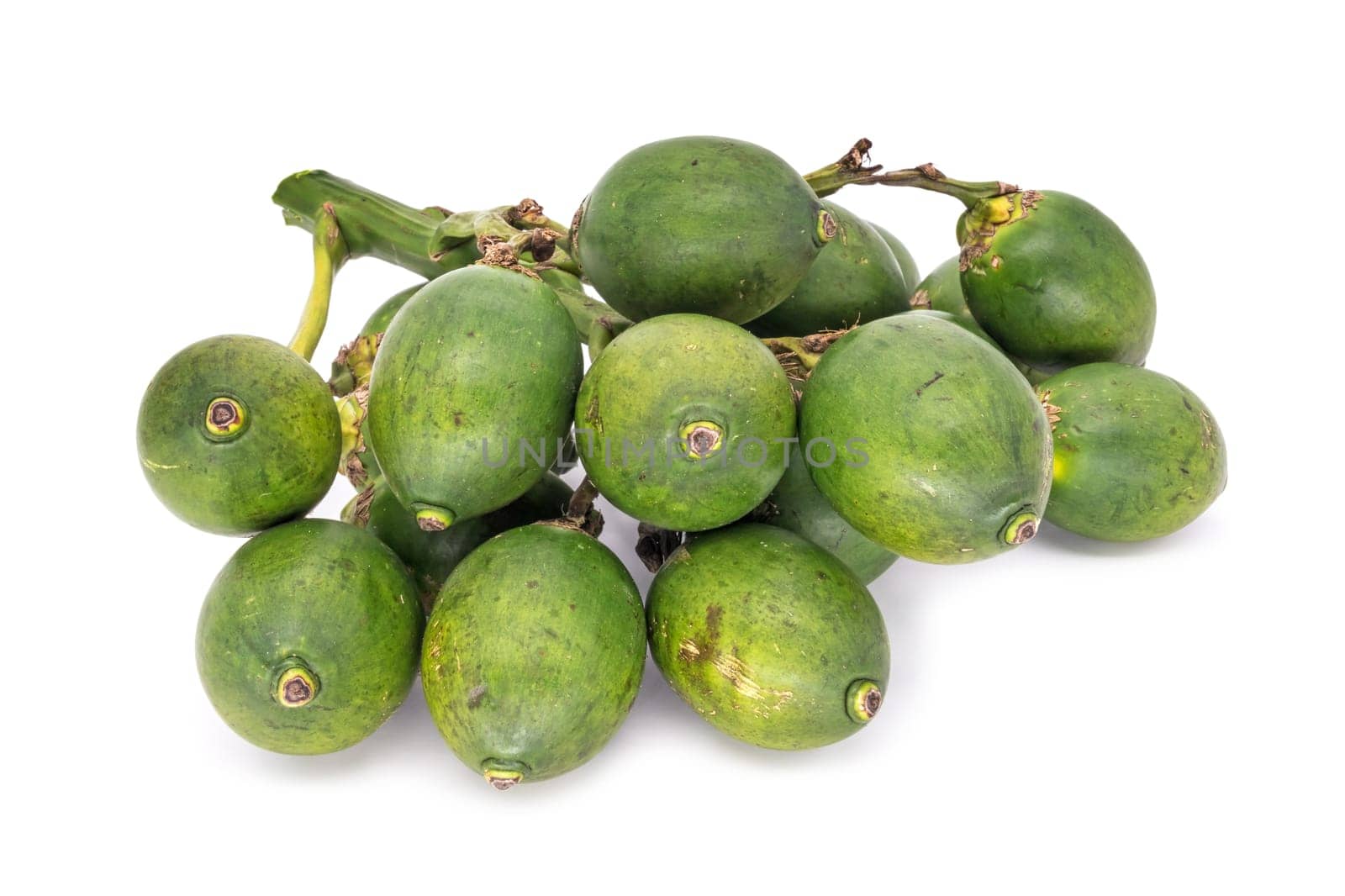 Betel nut on a white background,fruit of betel nut palm