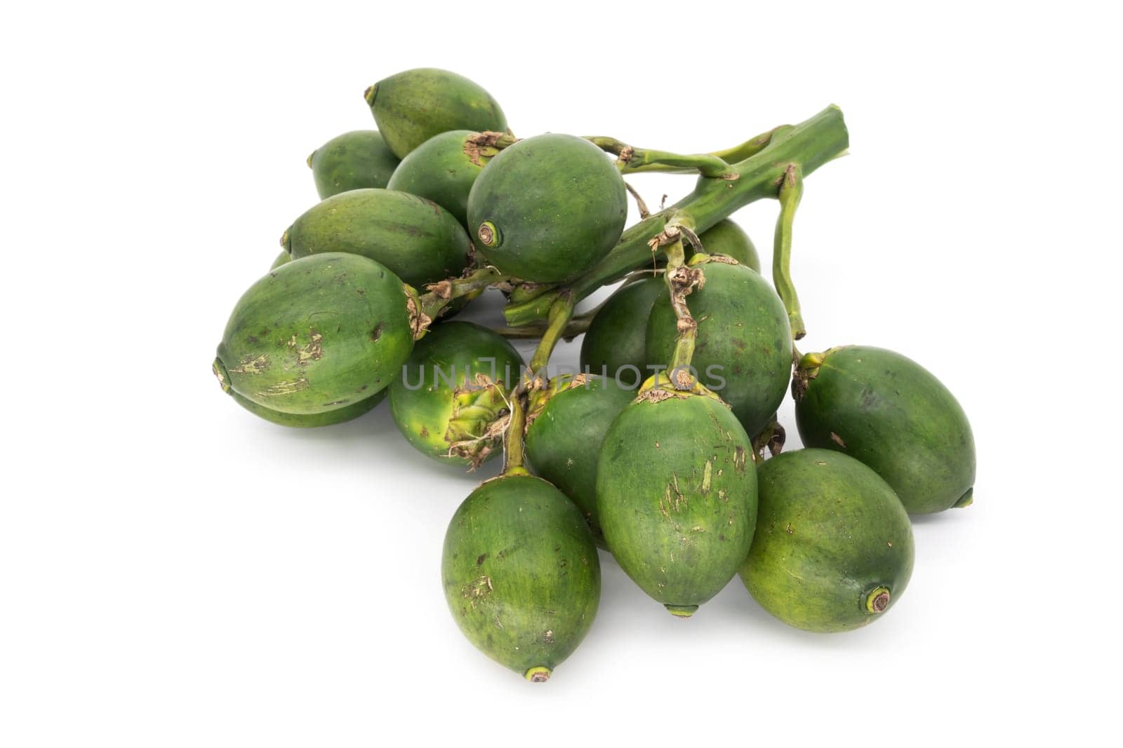 Betel nut on a white background,fruit of betel nut palm