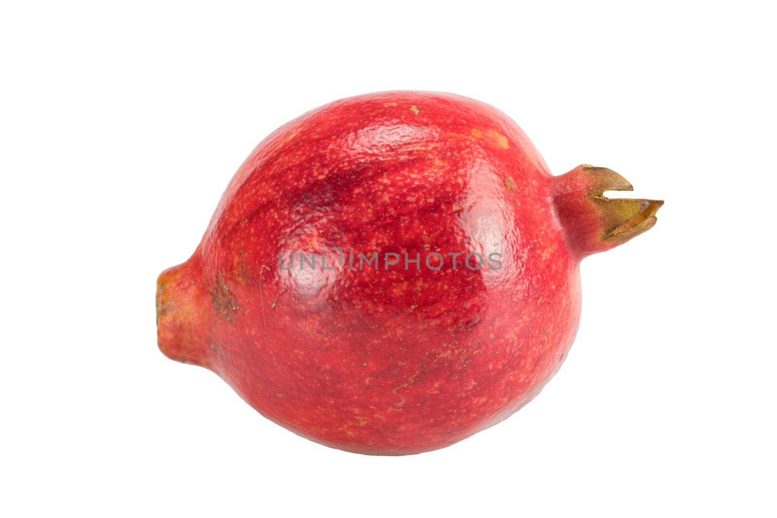 Pomegranate on white hindrung