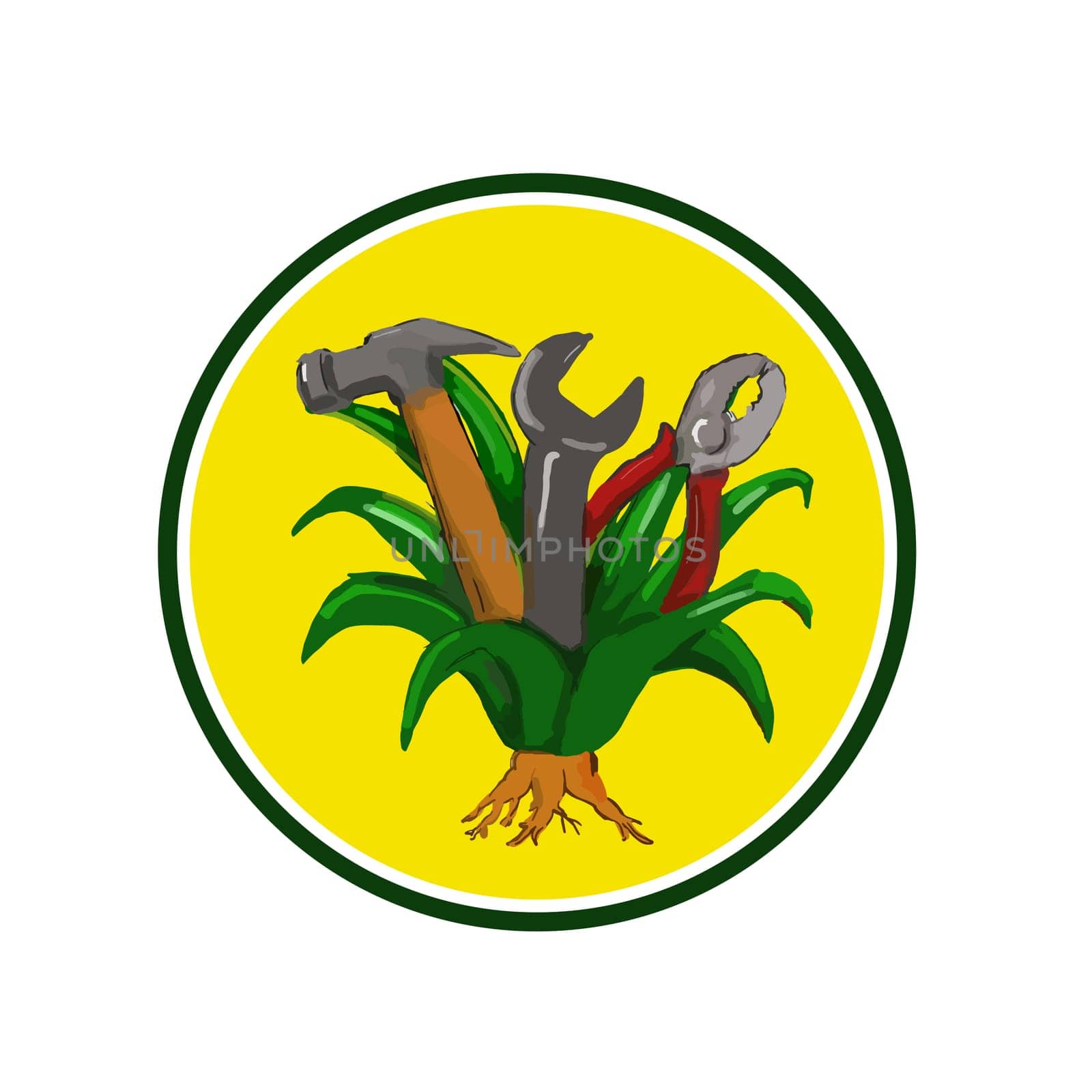 Water color sketch style illustration of an agave plant, a monocot native to Mexico and Southwestern United States, with hammer, spanner and pliers tool growing out of it set inside circle.