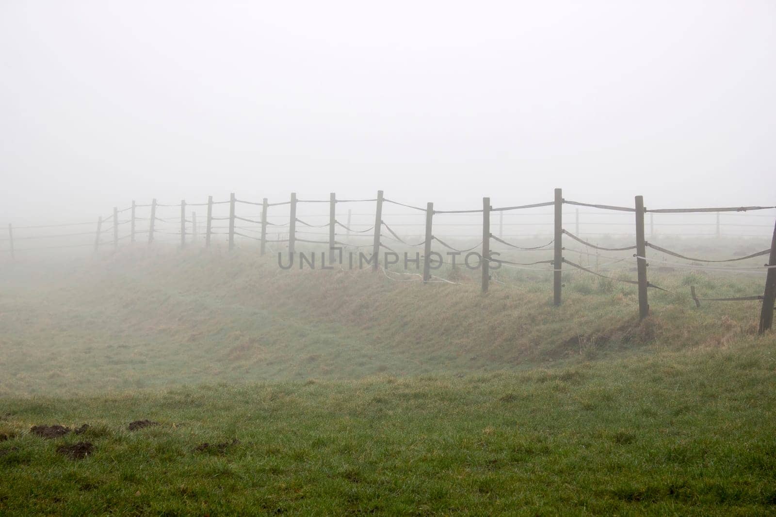 fence and fog