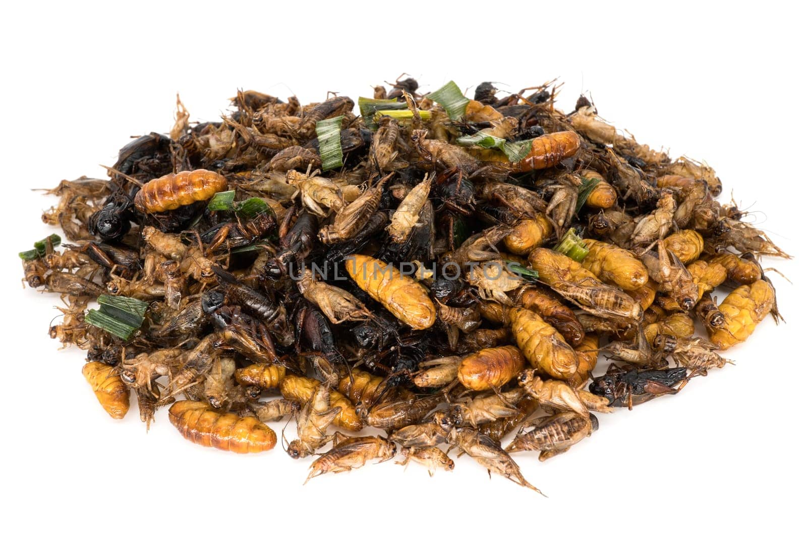 Insects for eating,alternative diet on a white background
