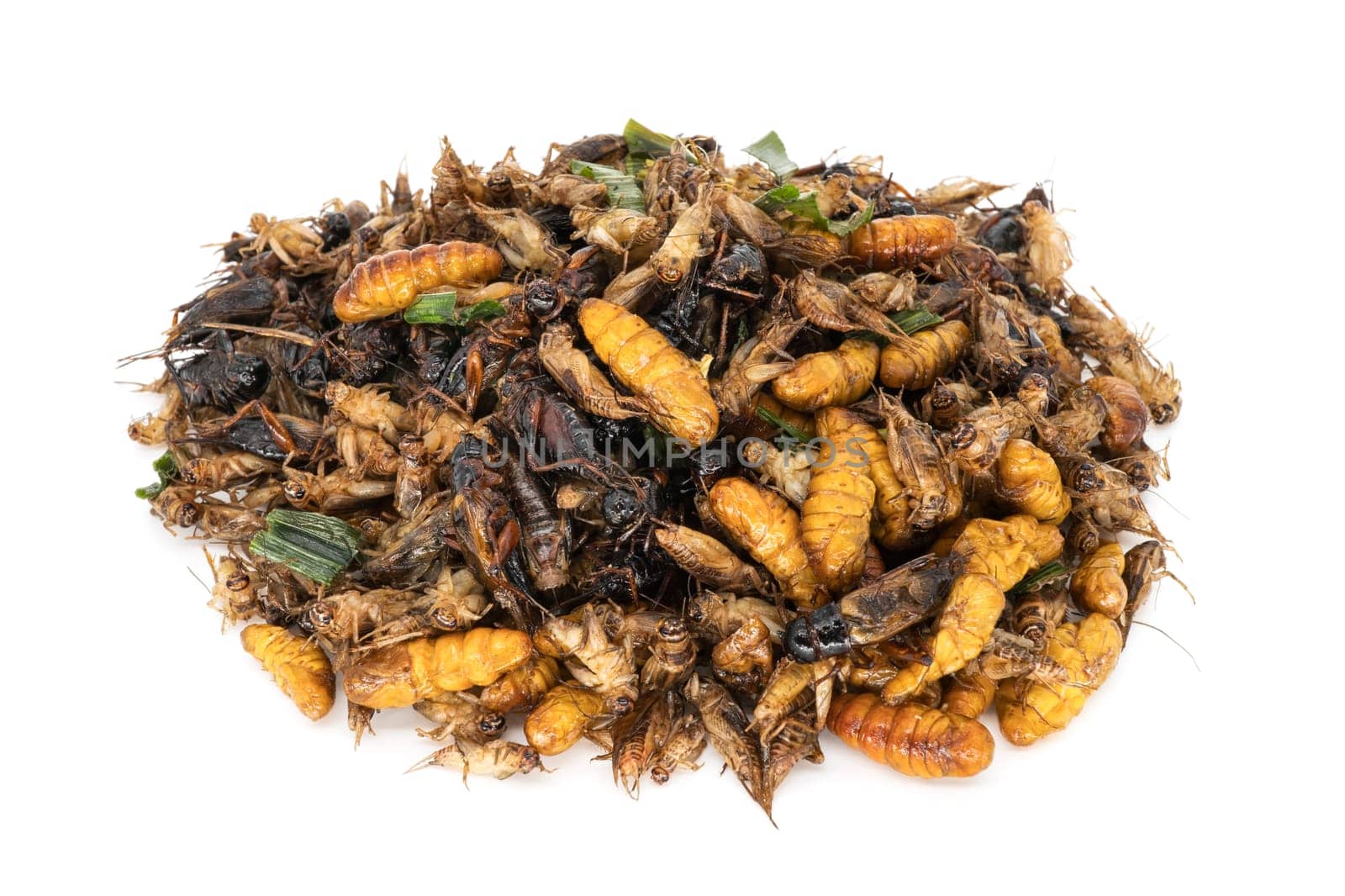 Insects for eating,alternative diet on a white background