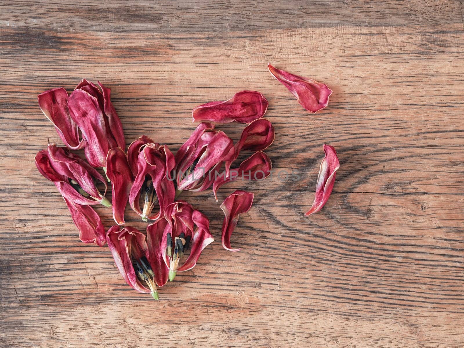 Heart shape of dried tulips petals on a rustic wooden table using as background
