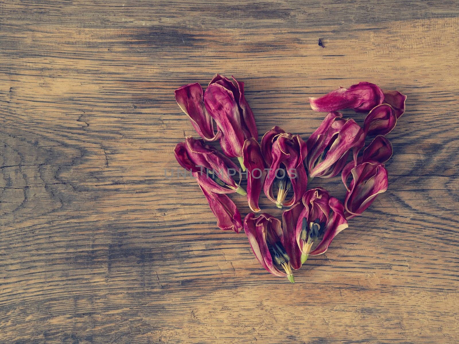 Heart shape of dried tulips petals on a rustic wooden table using as background