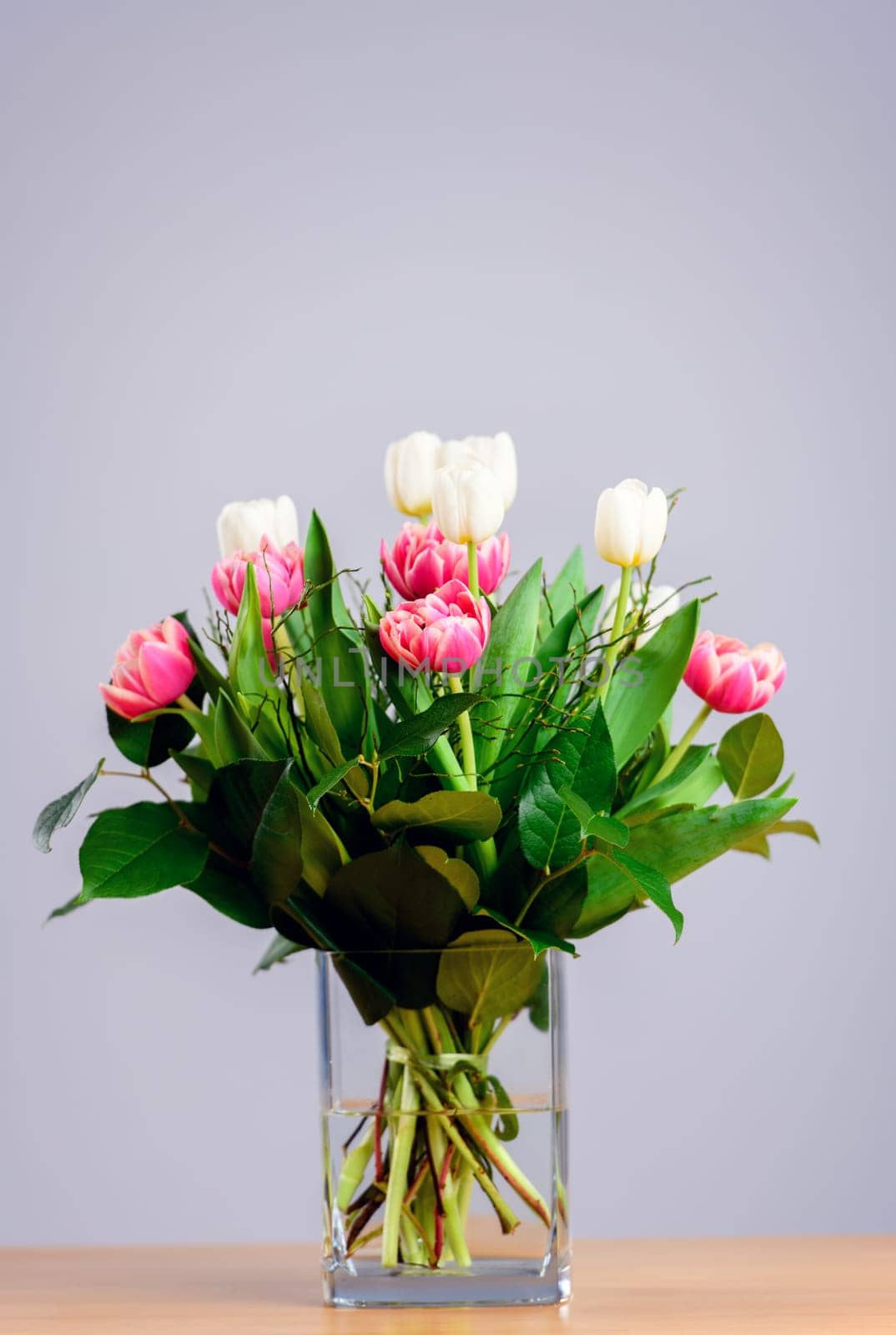 bouquet of white and pink tulips  in front of bright  background