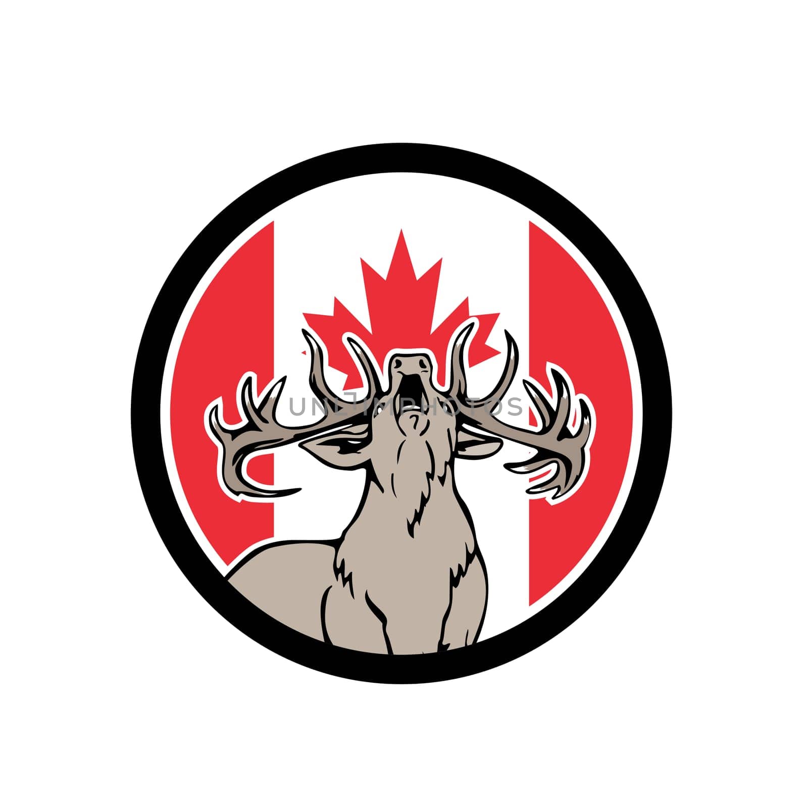 Icon retro style illustration of a Canadian stag deer roaring viewed from front  with Canada maple leaf flag set inside circle on isolated background.