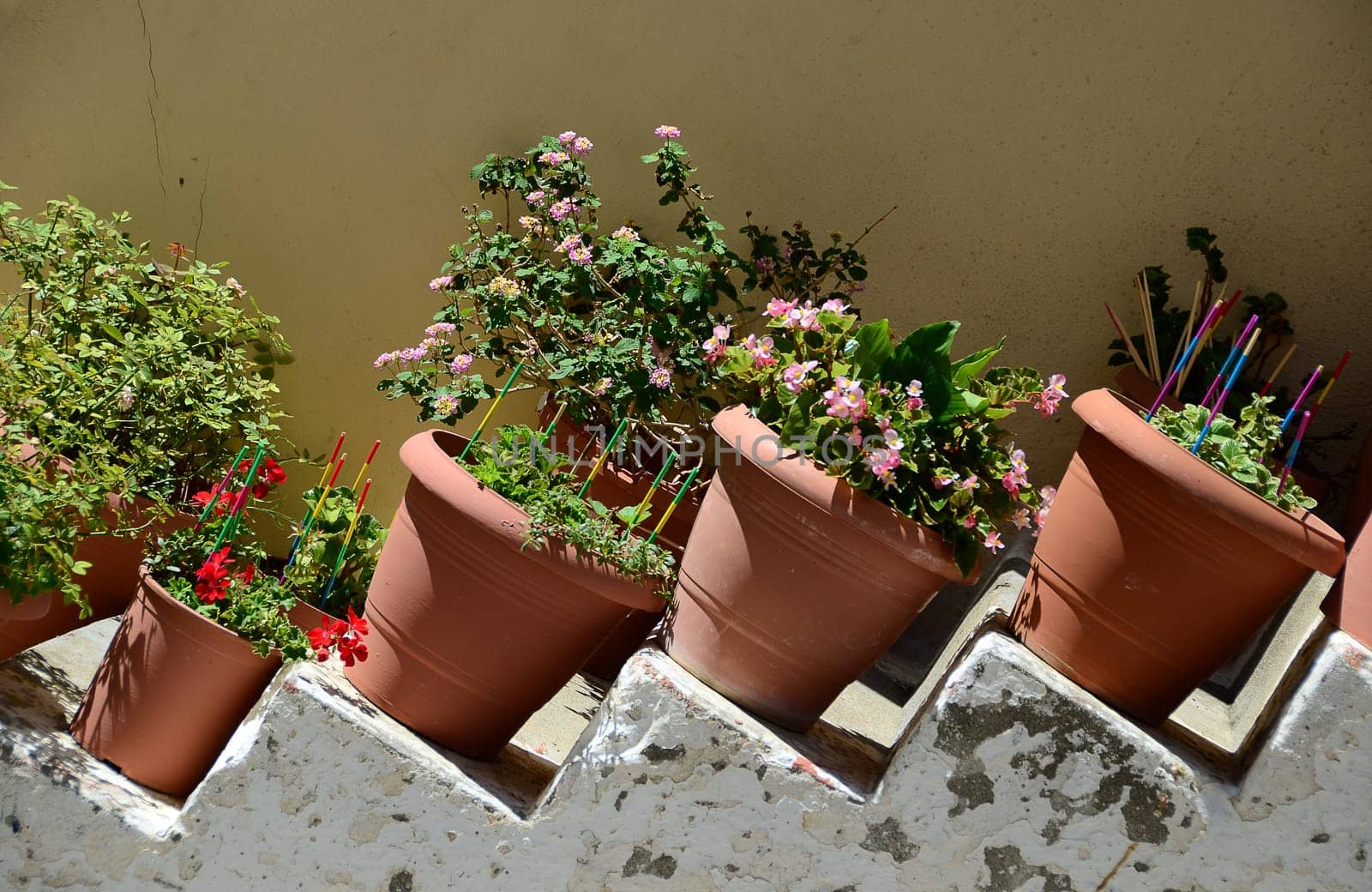 Flowerpots