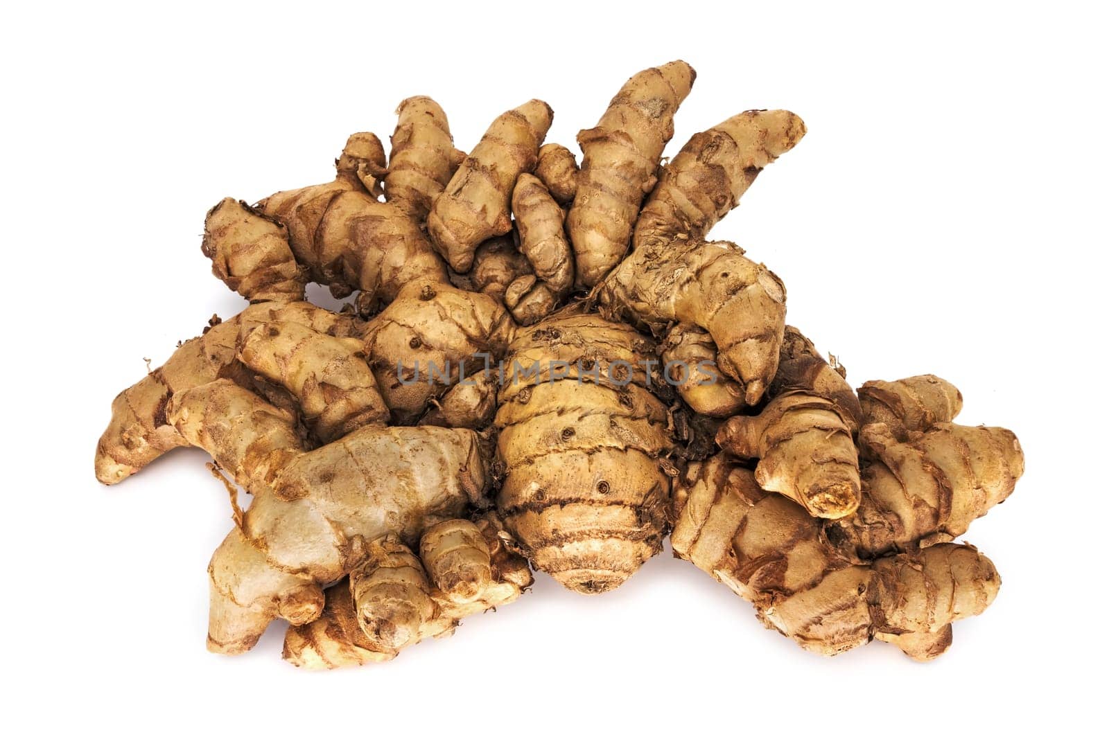 Ginger,close-up of magnificent root on a white background
