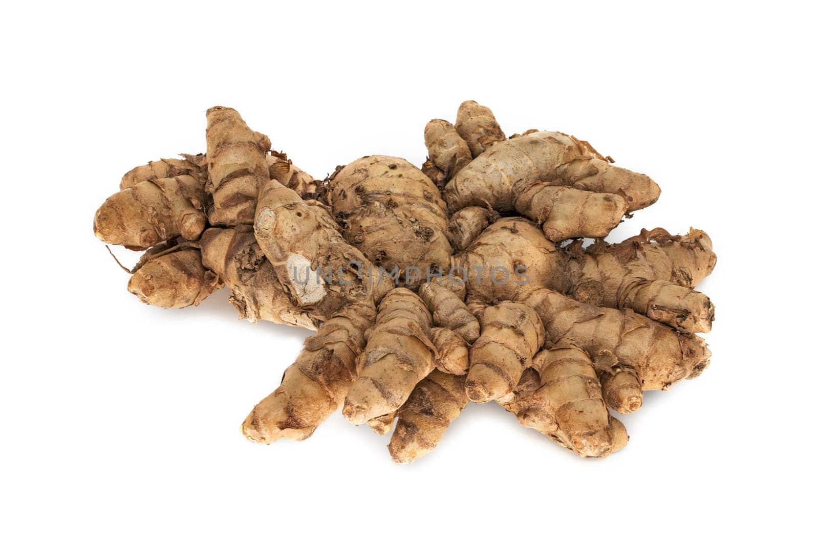 Ginger,close-up of magnificent root on a white background