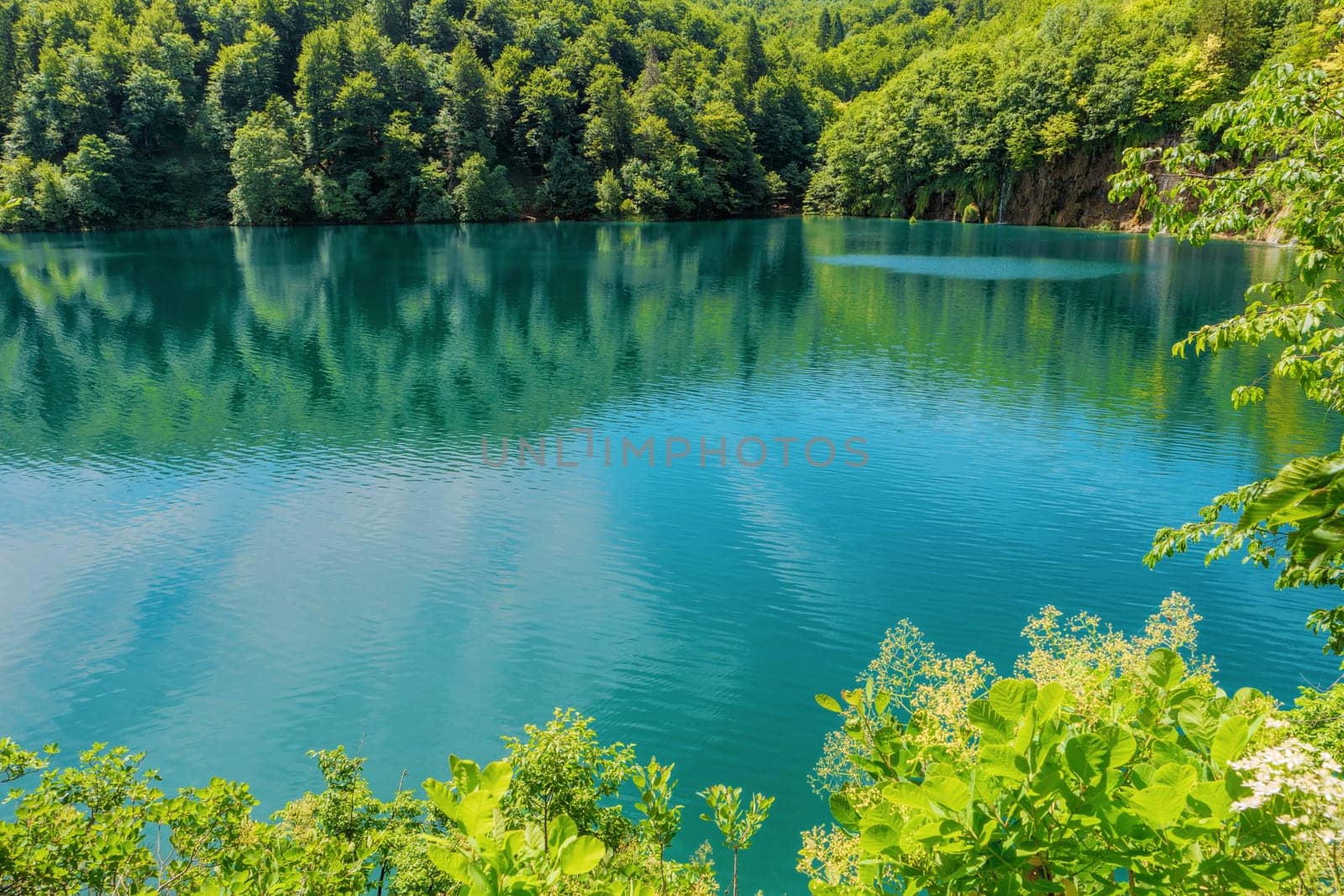 Plitvice Lakes National Park, Croatia, Europe. Natural park with waterfalls and turquoise water. UNESCO World Heritage site. Blue clear water of Plitvicka Jezera. View of lake. Summer landscape