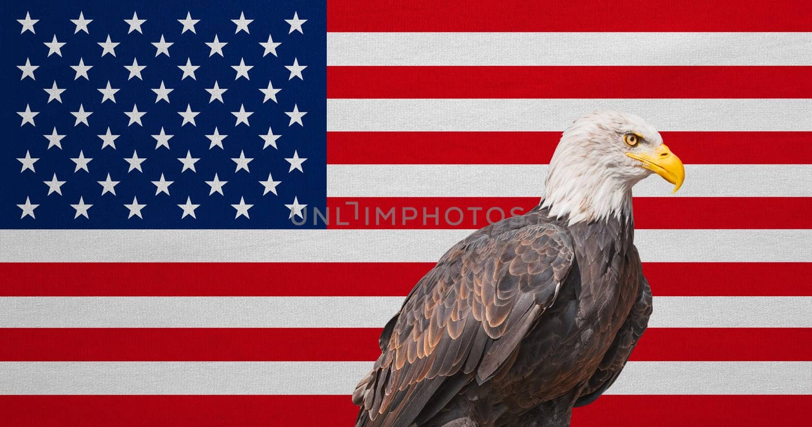 American flag and Bald Eagle. National symbols of USA. Patriotic US banner, emblem, background. Flag of the United States of America with real detailed fabric texture. American national official flag