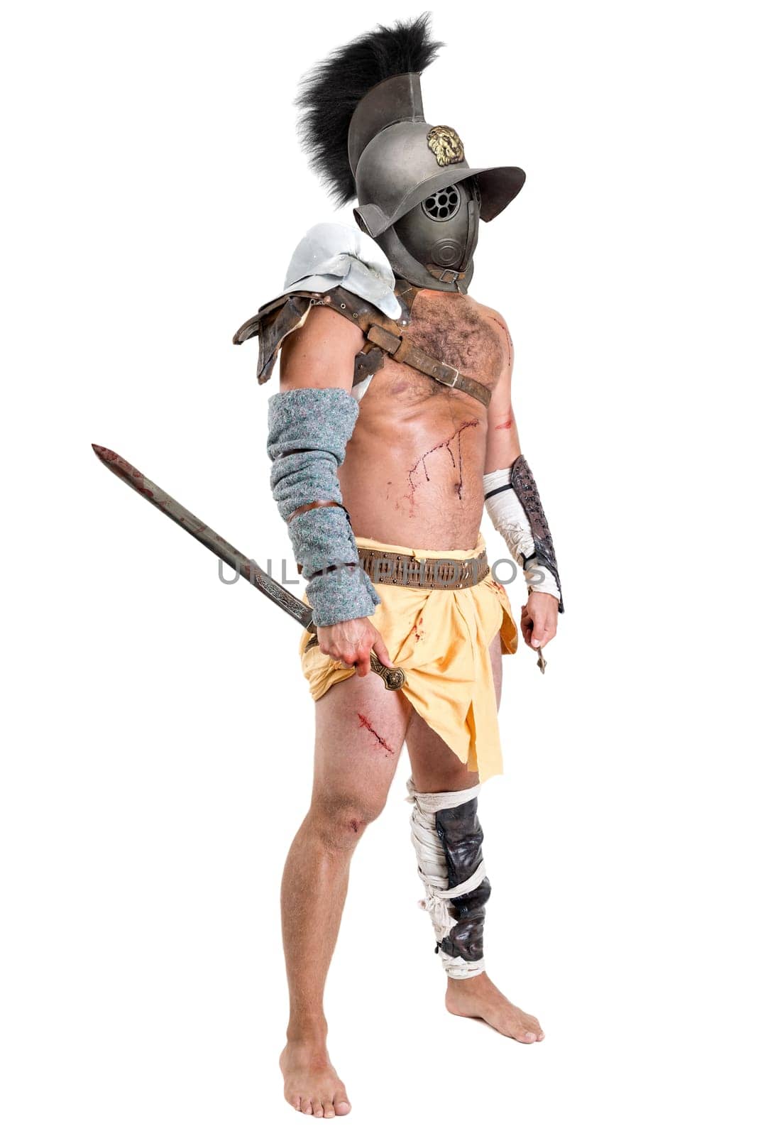 Ancient warrior or Gladiator isolated in a white background