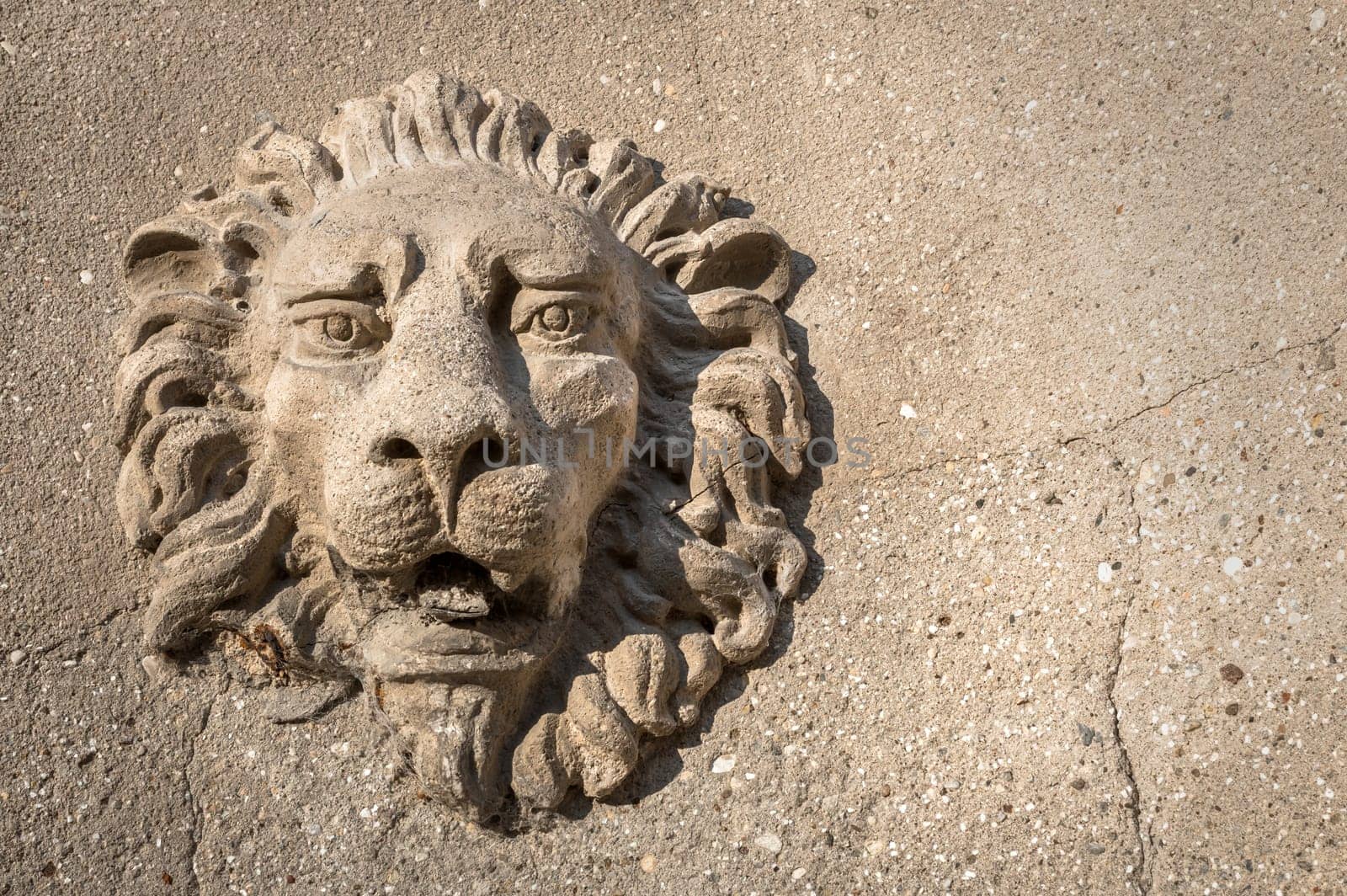 The lion of Venice, a sculptured engraving on a wall. It can be used as background. Space for text.