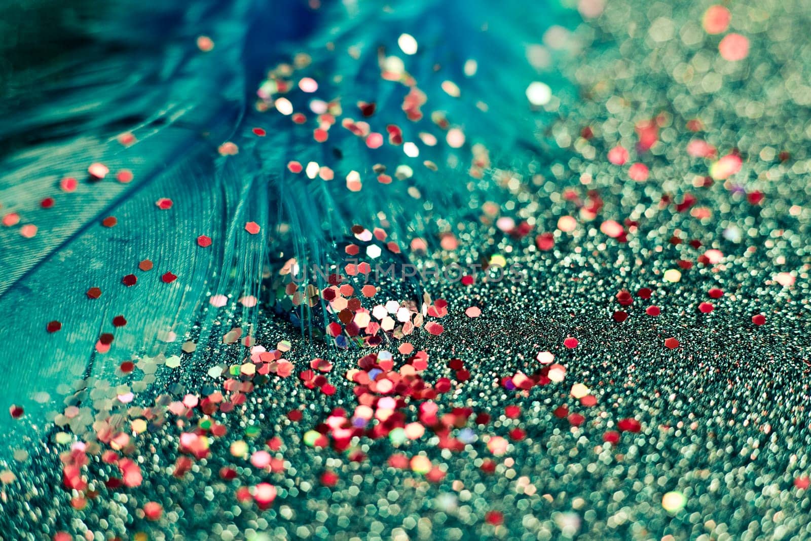 Soft feather with sparkles with artistic bright light and shadows. Soft blurred background of artistic close-up glitter macro image.