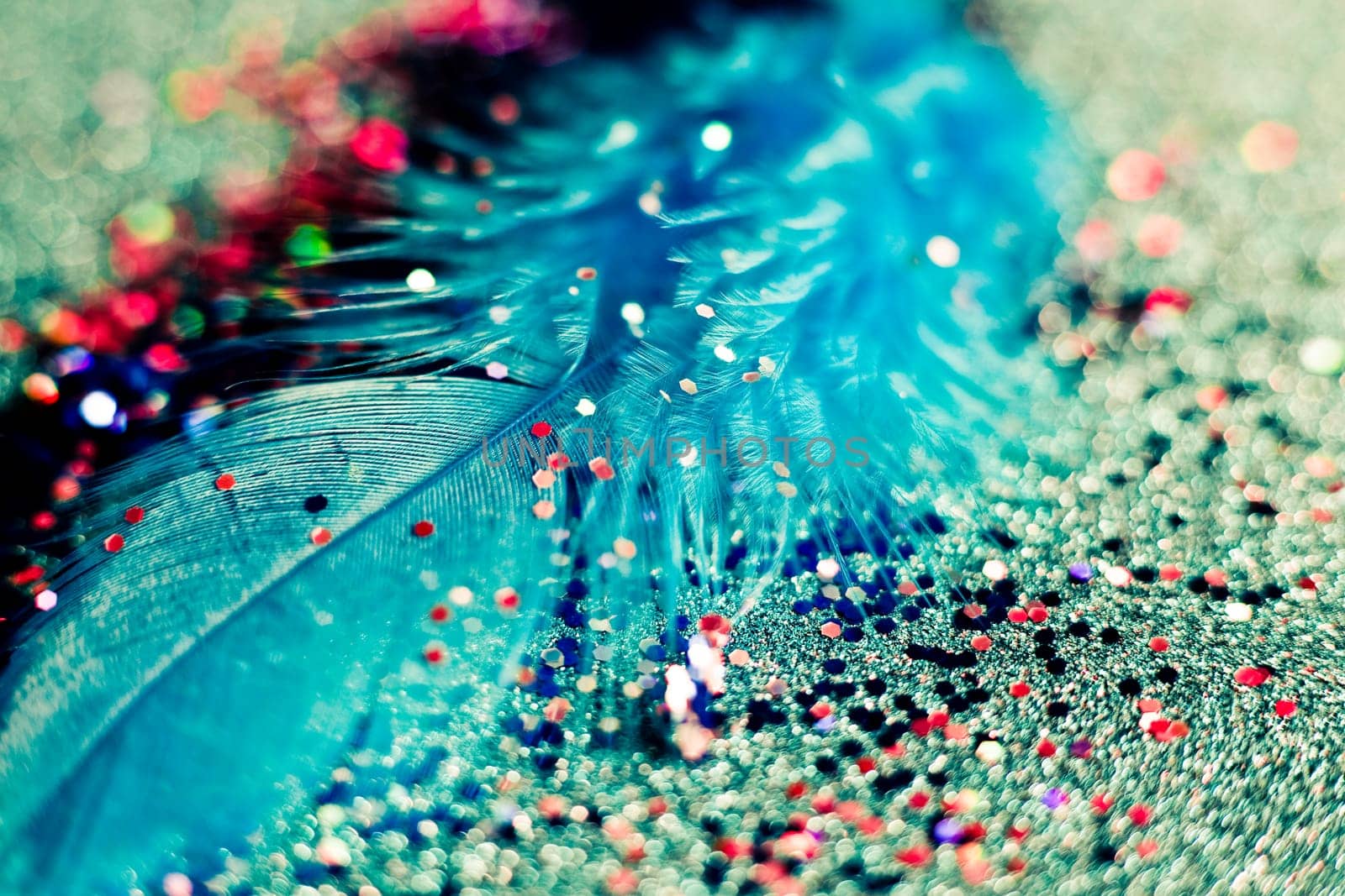 Soft feather with sparkles with artistic bright light and shadows. Soft blurred background of artistic close-up glitter macro image.