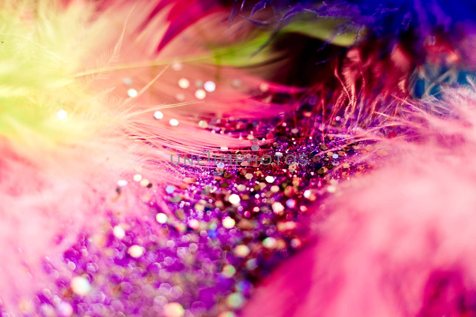Soft feather with sparkles with artistic bright light and shadows. Soft blurred background of artistic close-up glitter macro image.