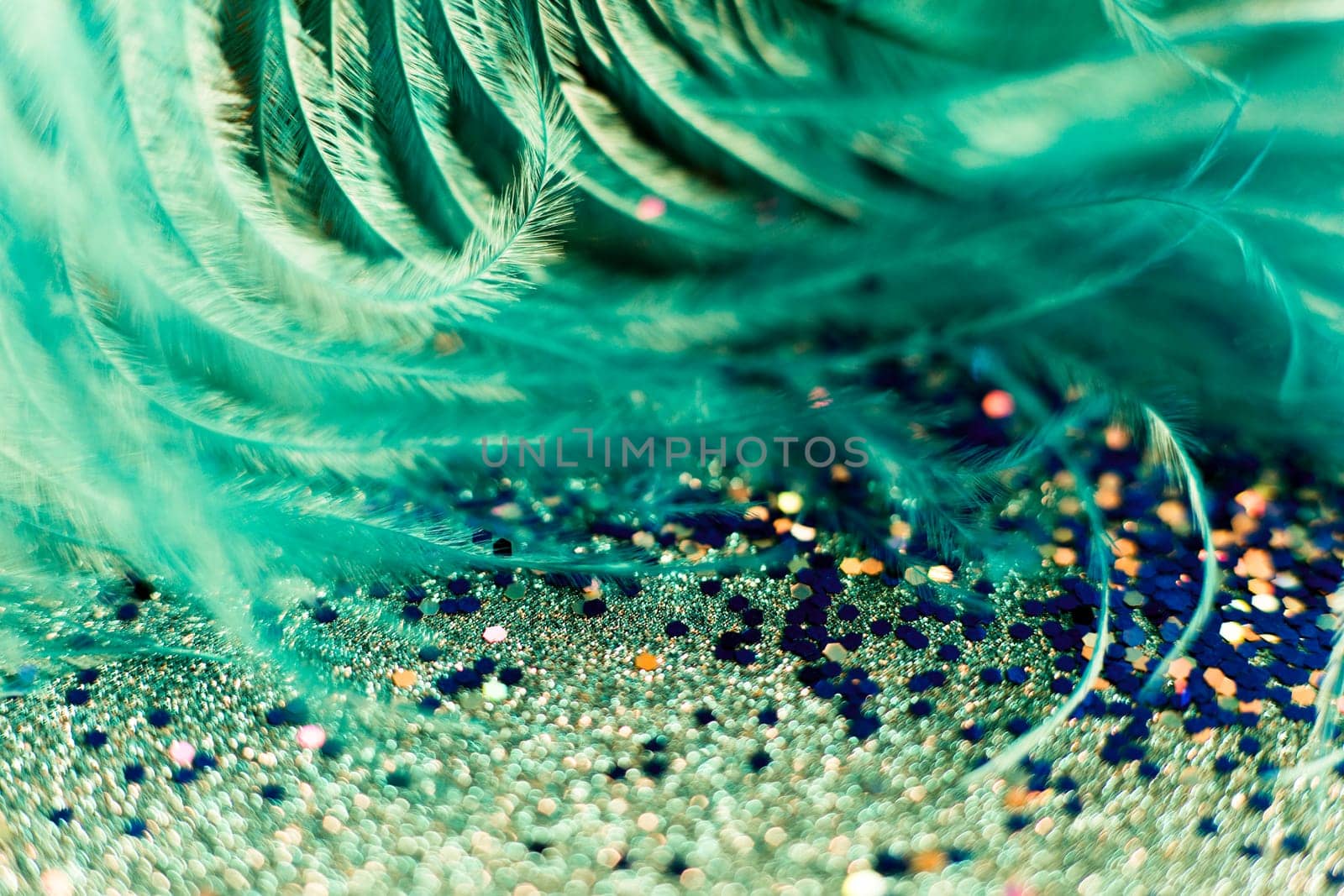 Soft feather with sparkles with artistic bright light and shadows. Soft blurred background of artistic close-up glitter macro image.