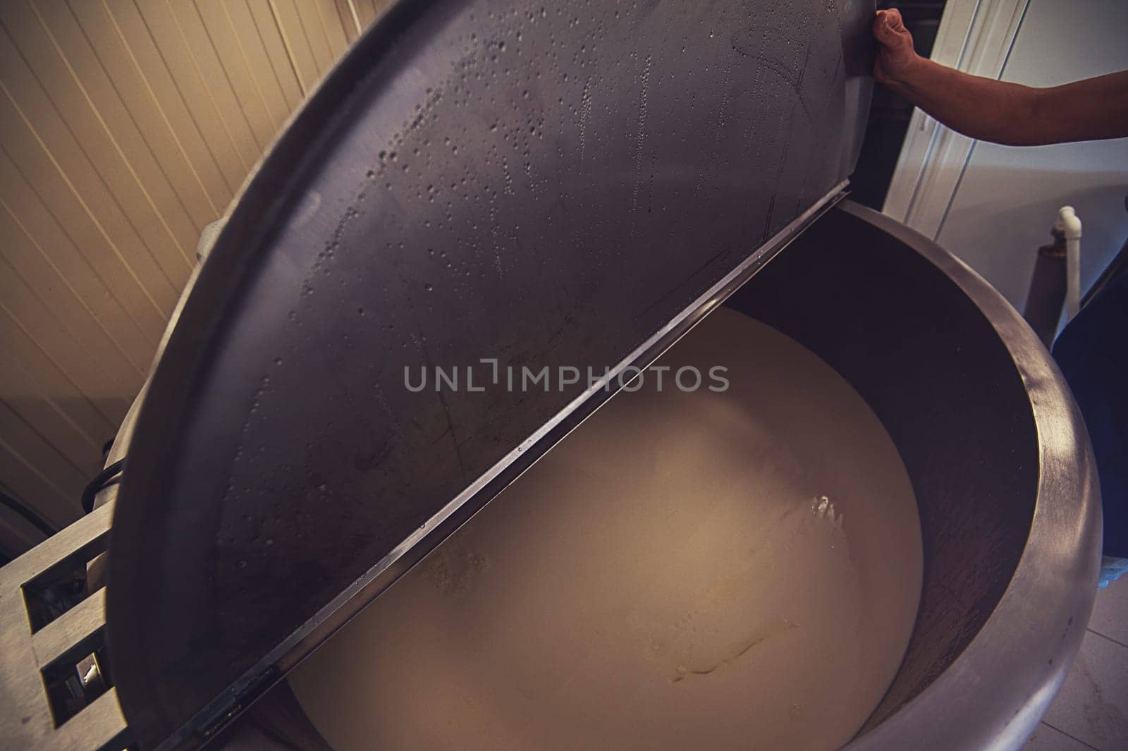 Cheese production at dairy farm, first stage - milk processing