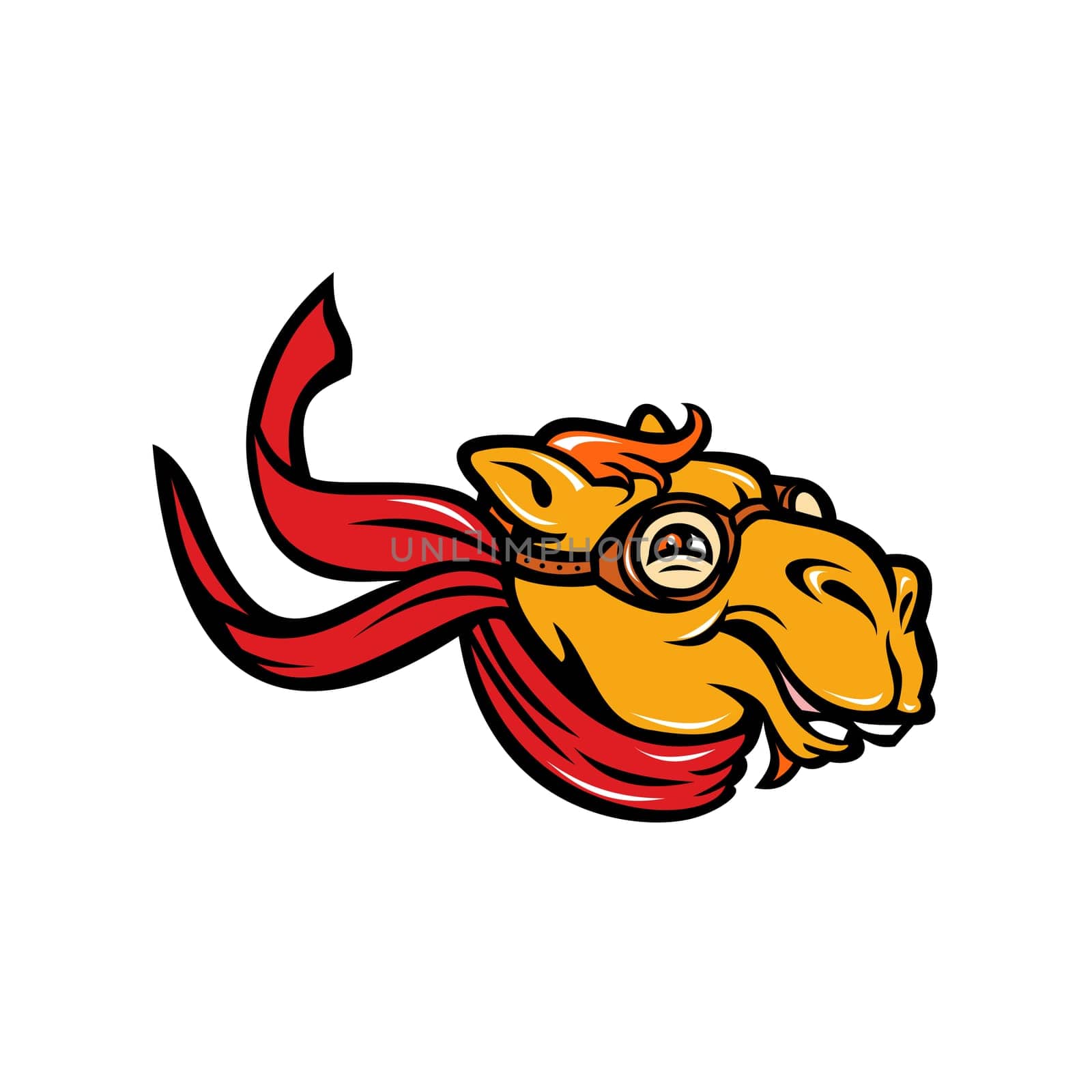 Mascot icon illustration of a Bactrian camel (Camelus bactrianus) a large, even-toed ungulate, smiling or grinning wearing aviator goggles and scarf on isolated background in retro style.