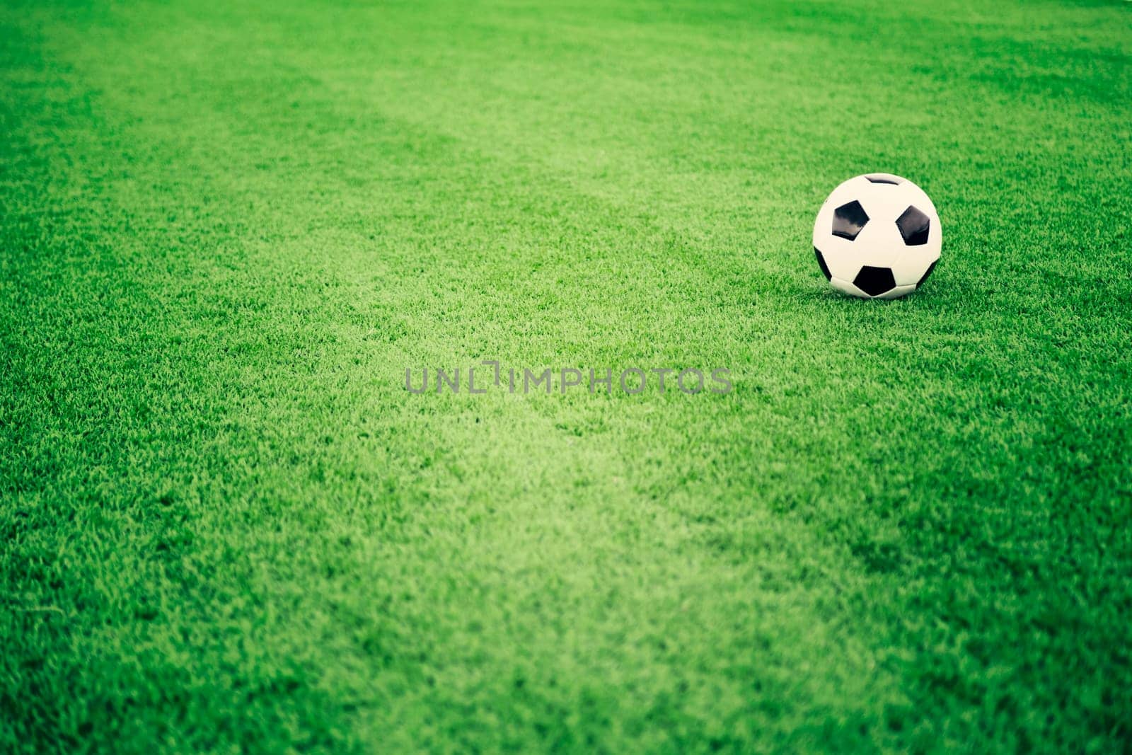 Soccer ball on grass field