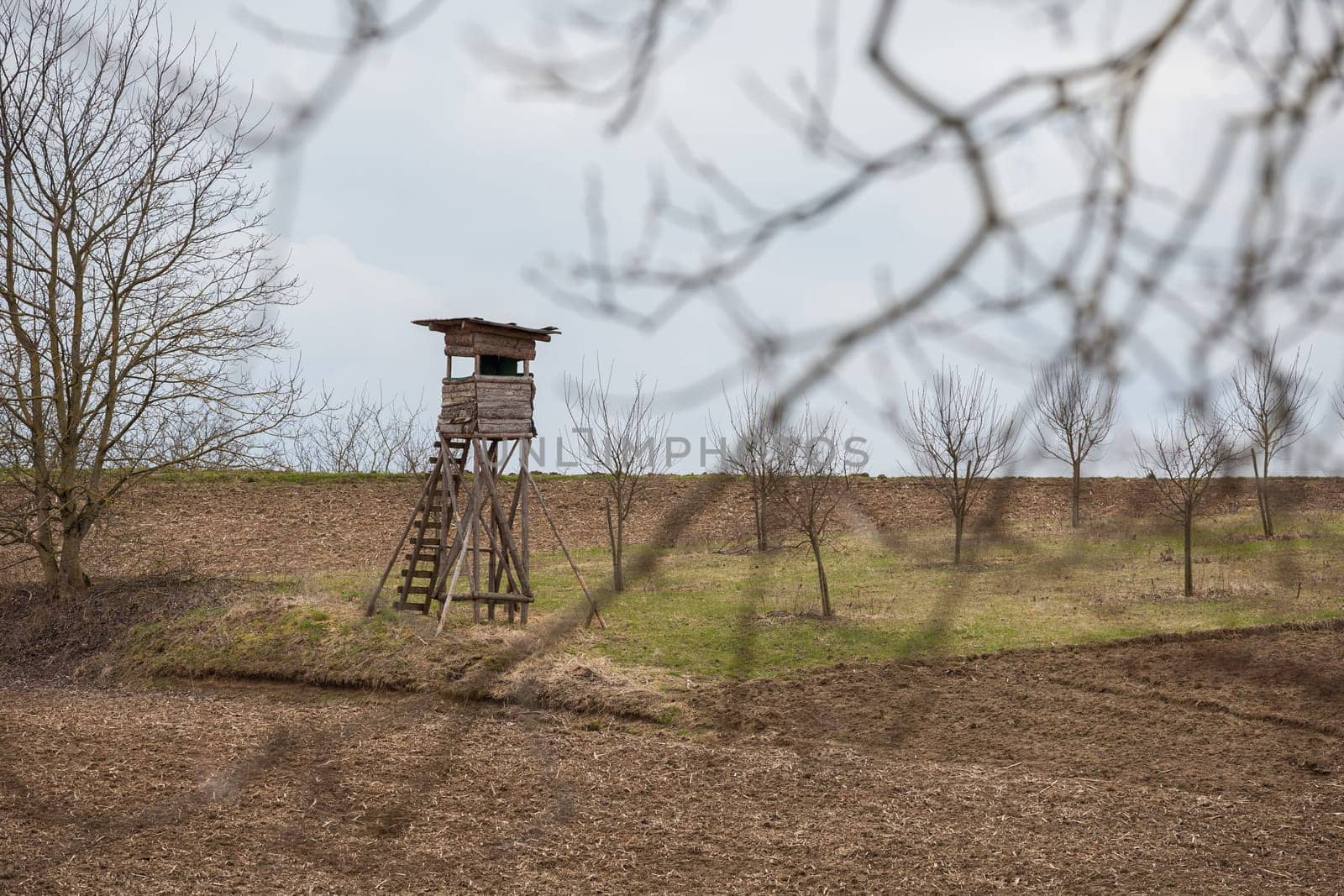 Hunter's seat in a barren landscape