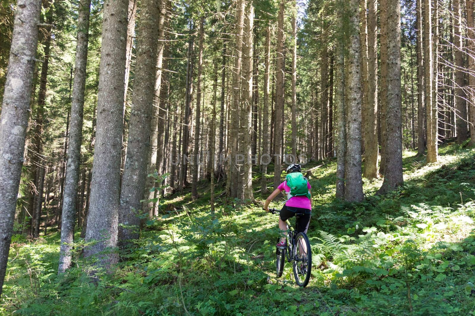 Active sporty woman riding mountain bike on demanding forest trail.