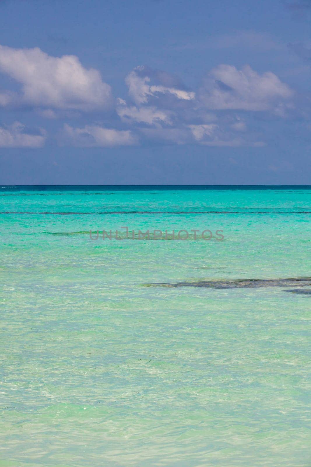 Holiday Paradise