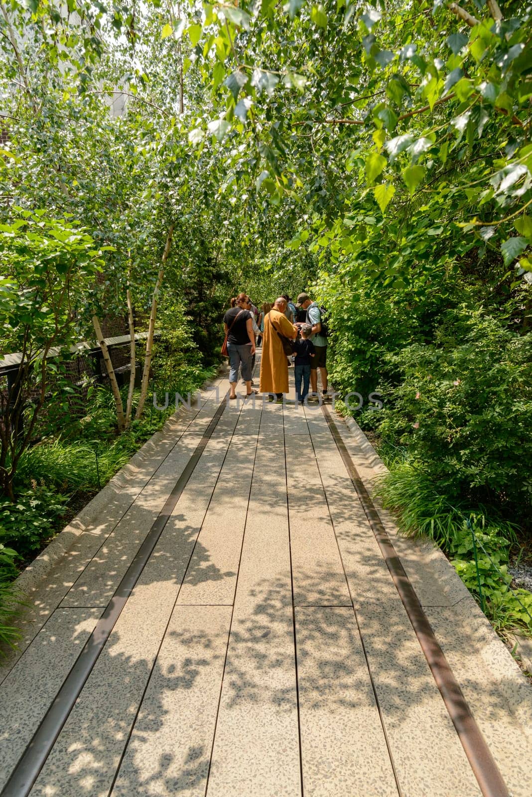 New York, NY, USA - June 8, 2015: The High Line Park in New York City, USA. It is a 2,33 km long elevated linear park, greenway and rail trail, created on a former New York Central Railroad spur on the west side of Manhattan.