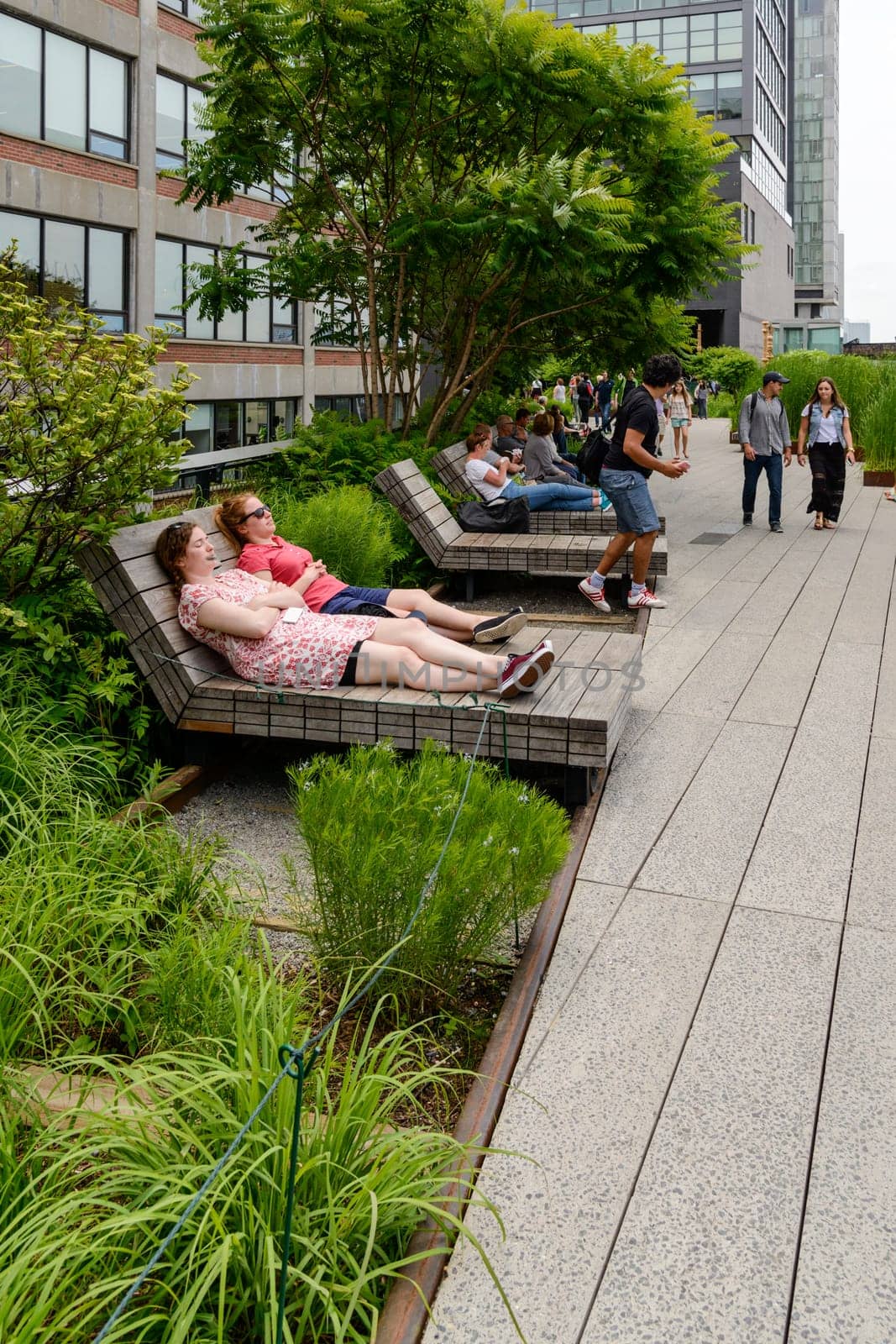 New York, NY, USA - June 8, 2015: The High Line Park in New York City, USA. It is a 2,33 km long elevated linear park, greenway and rail trail, created on a former New York Central Railroad spur on the west side of Manhattan.