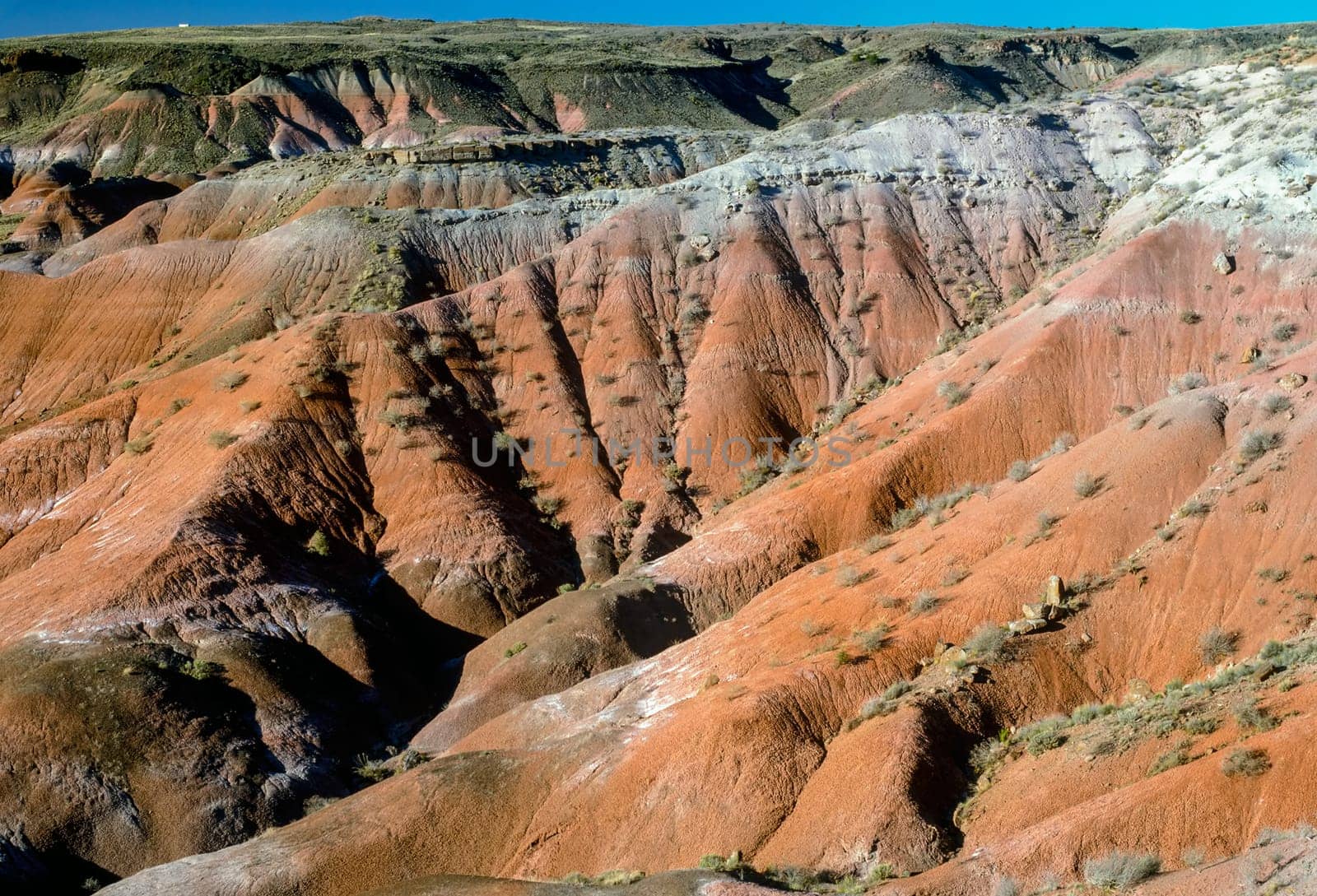 Painted desert, Arizona.