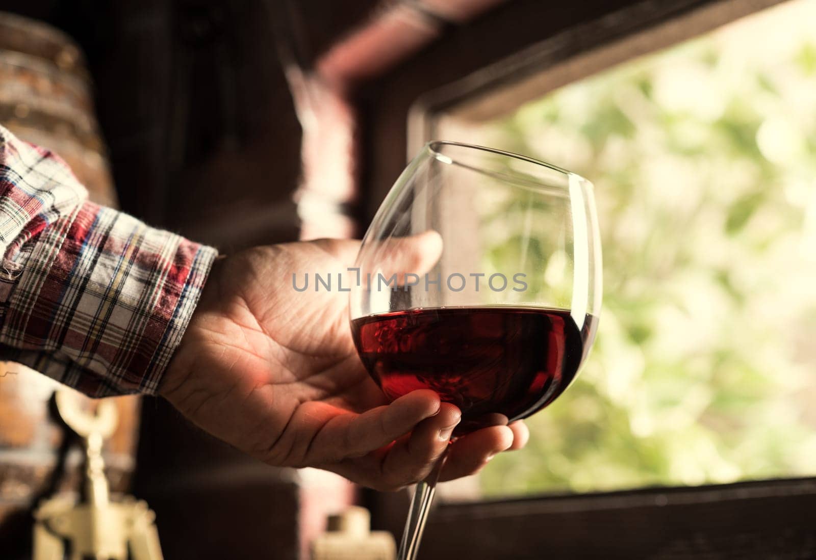 Sommelier tasting a glass or red wine in the cellar, lush vineyards on the background