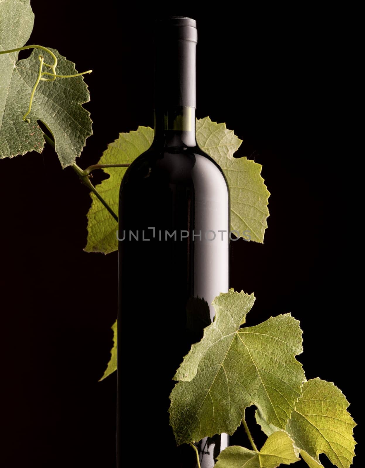 Excellent unlabeled wine bottle with vine branch on black background