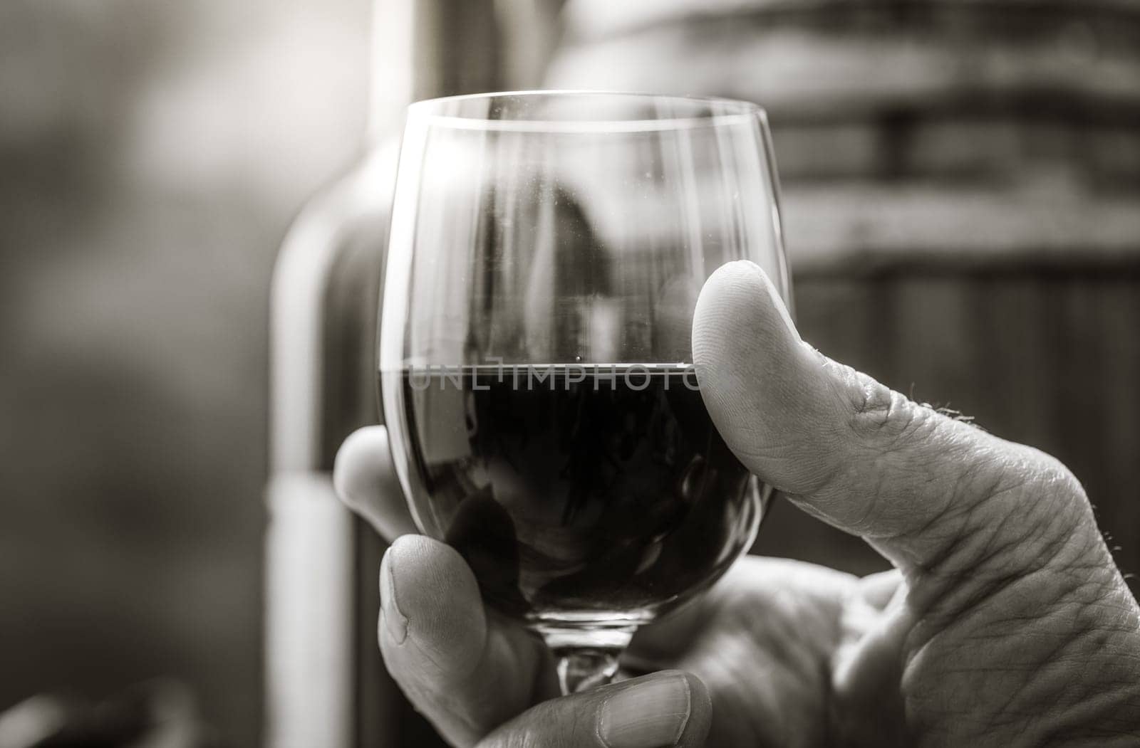 Senior man drinking a glass of expensive red wine in his cellar, wine bottle and barrel on the background, wine tradition and culture concept